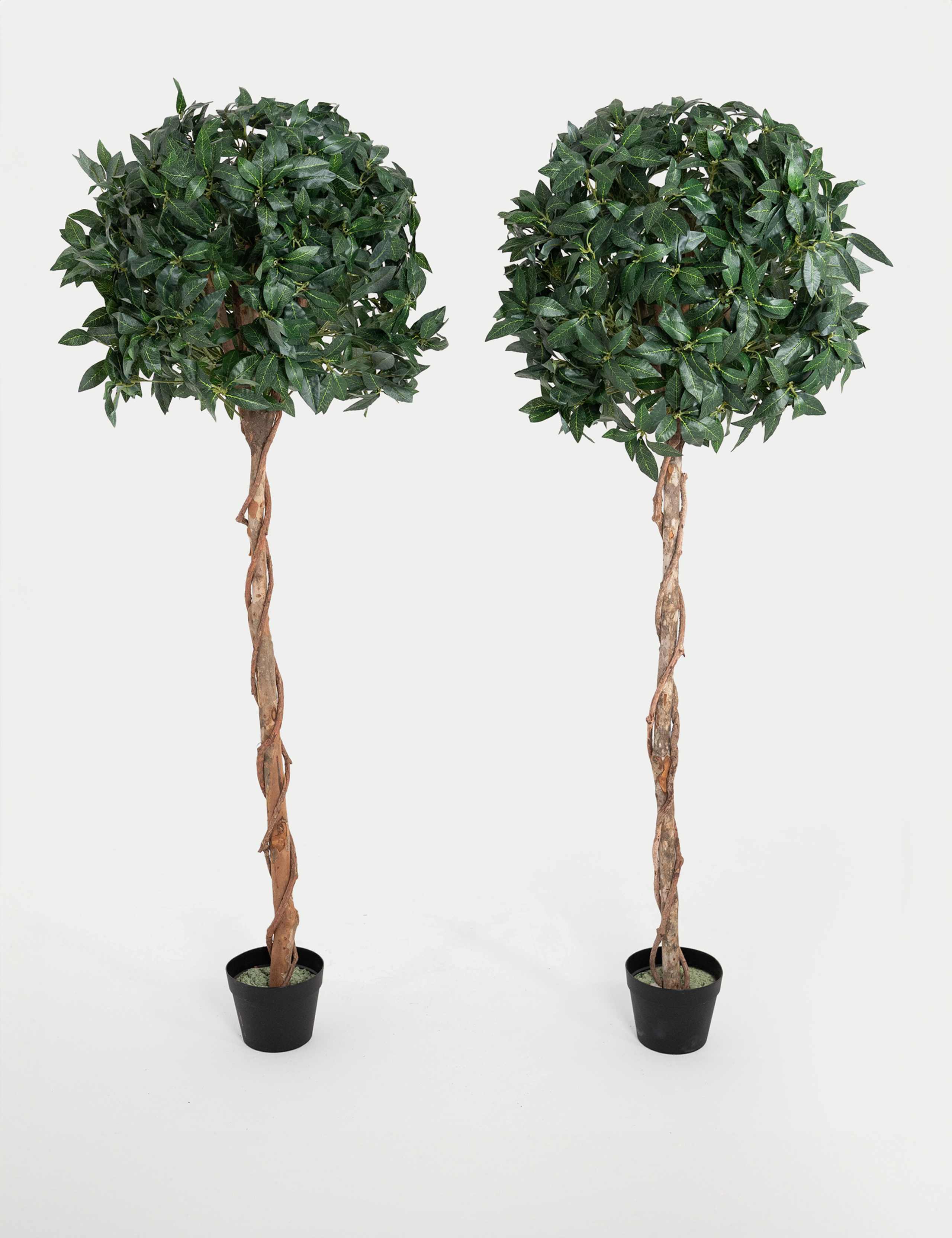 5ft Set of 2 Artificial Tall Bay Trees in Pots