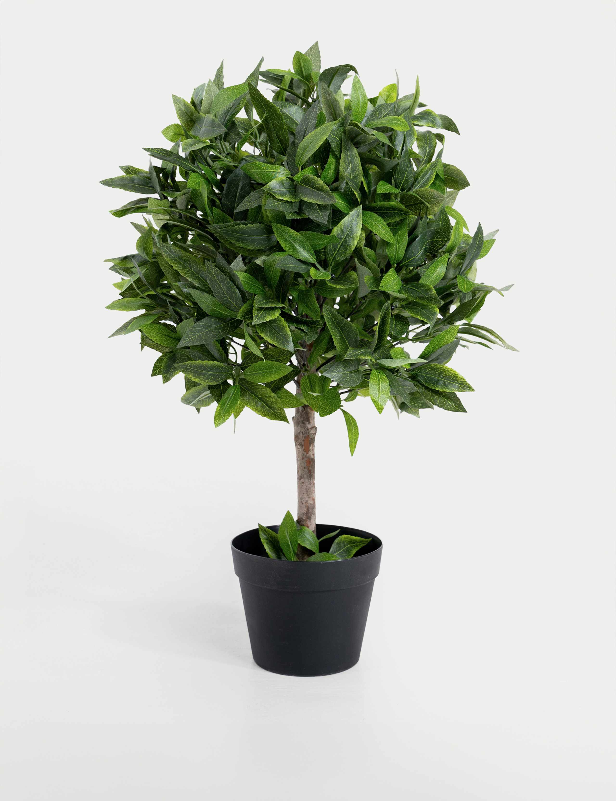 2.5ft Artificial Bay Laurel Bush Ball in Pot