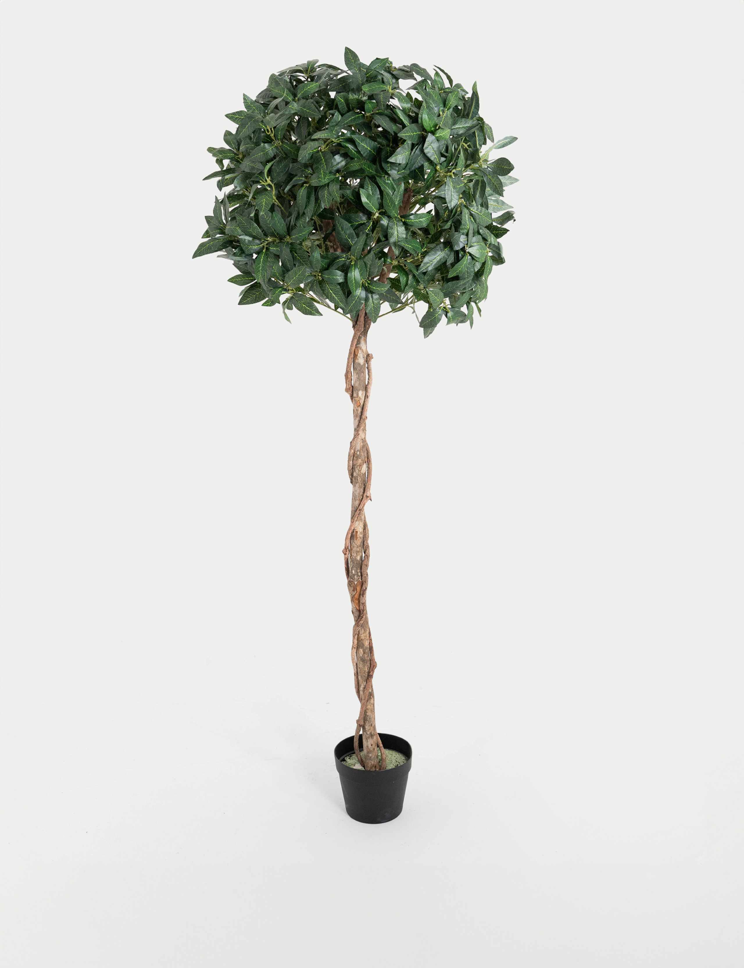 5ft Artificial Bay Laurel Tree in Pot
