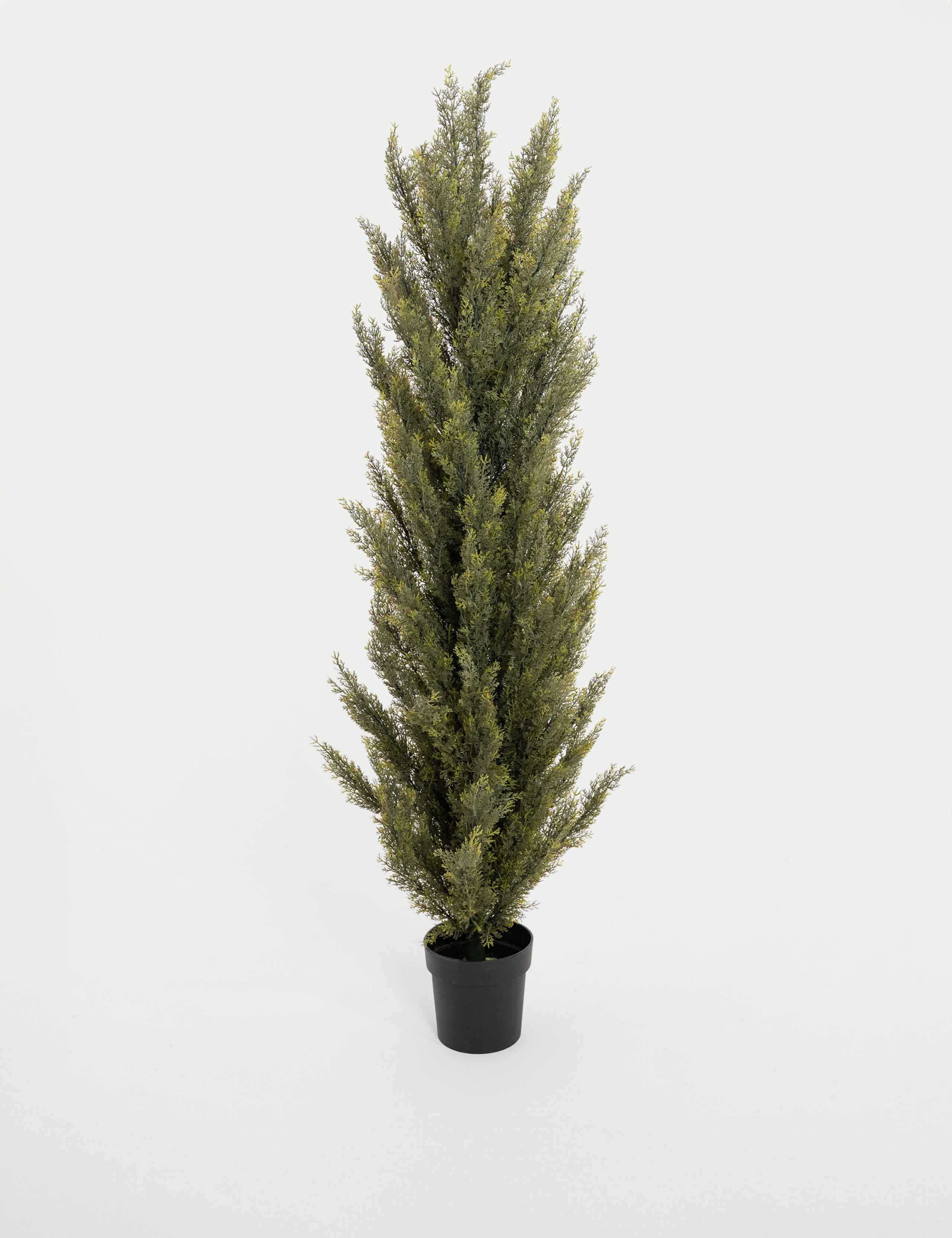6ft Artificial Conifer Tree in Pot