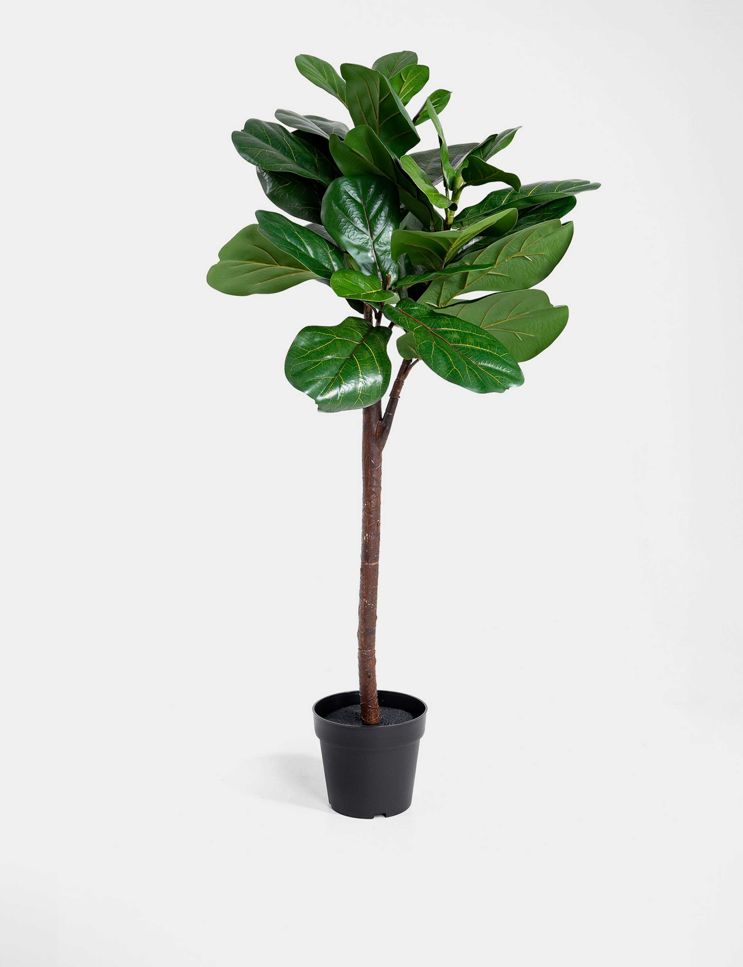 4ft Artificial Floor Standing Fig Tree