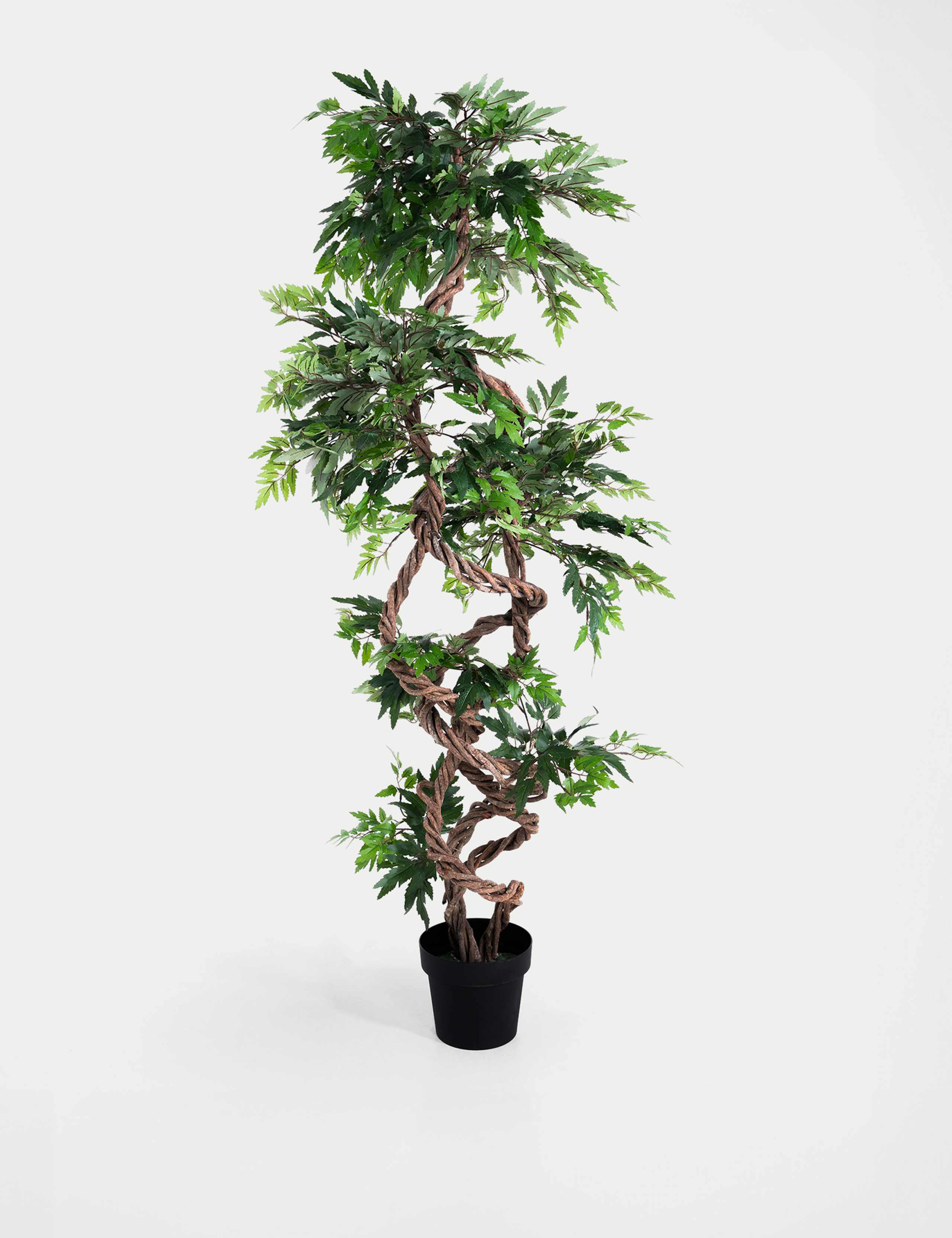5.5ft Artificial Fruticosa Tree in Pot