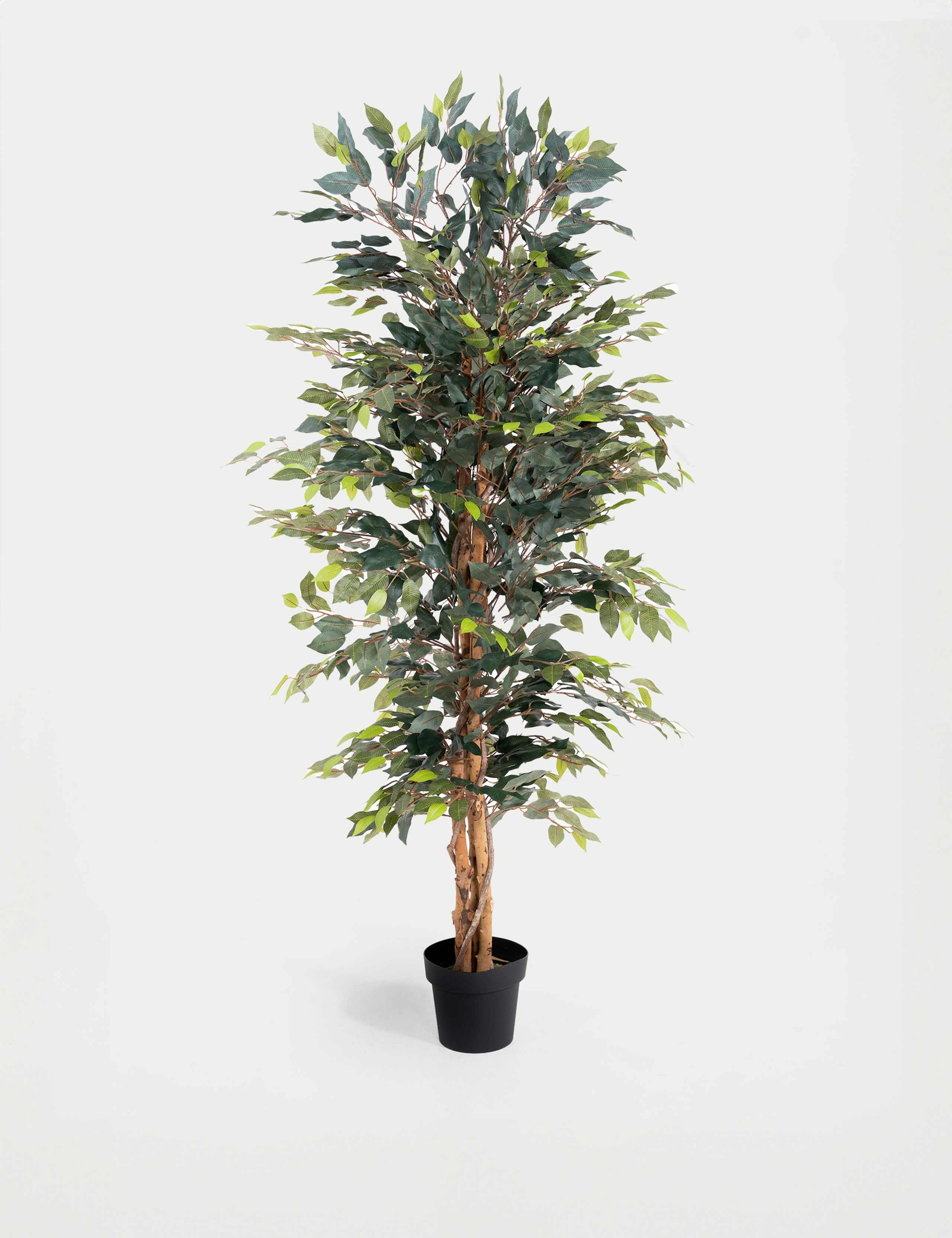 5ft Artificial Ficus Tree in Pot