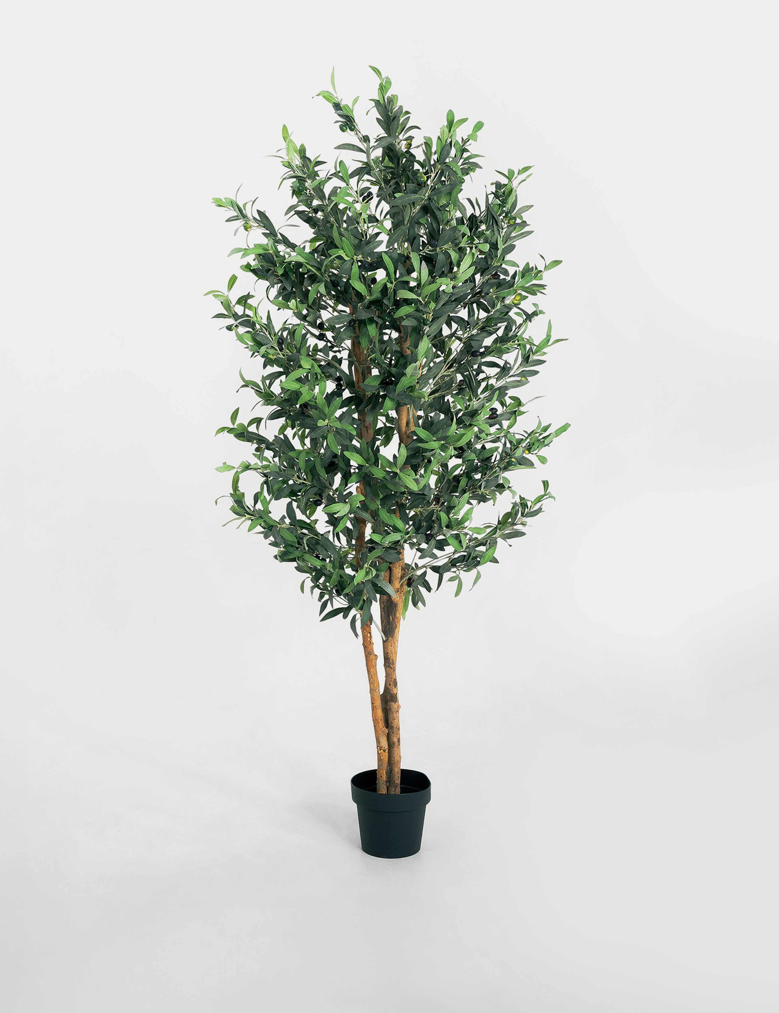 6ft Artificial Olive Tree in Pot
