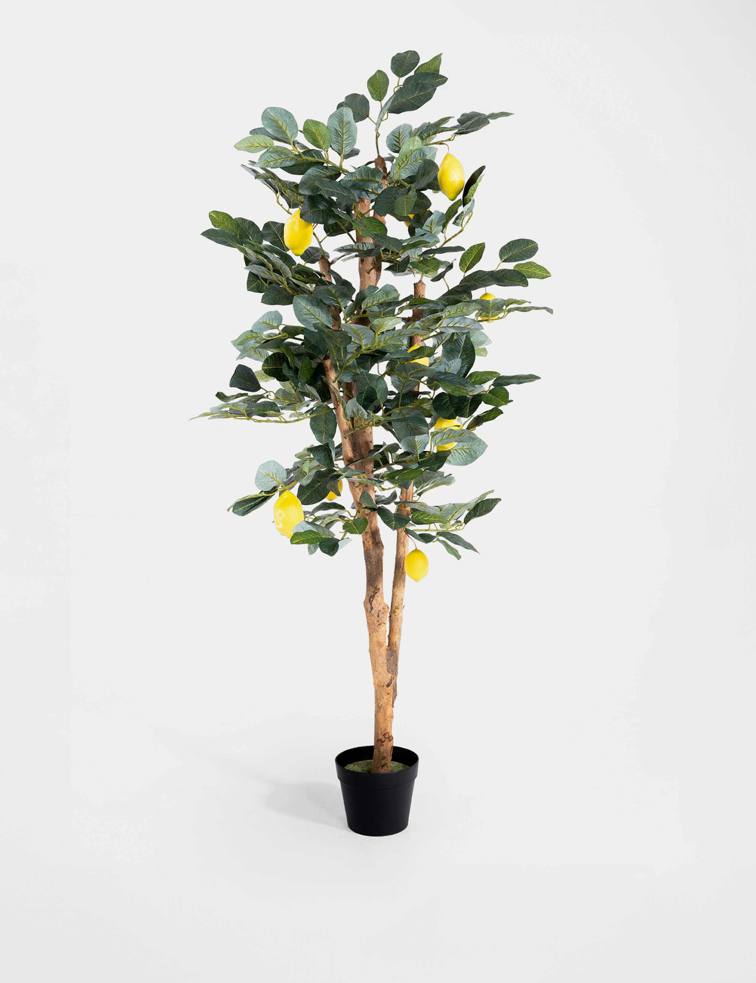 5ft Artificial Lemon Tree in Pot