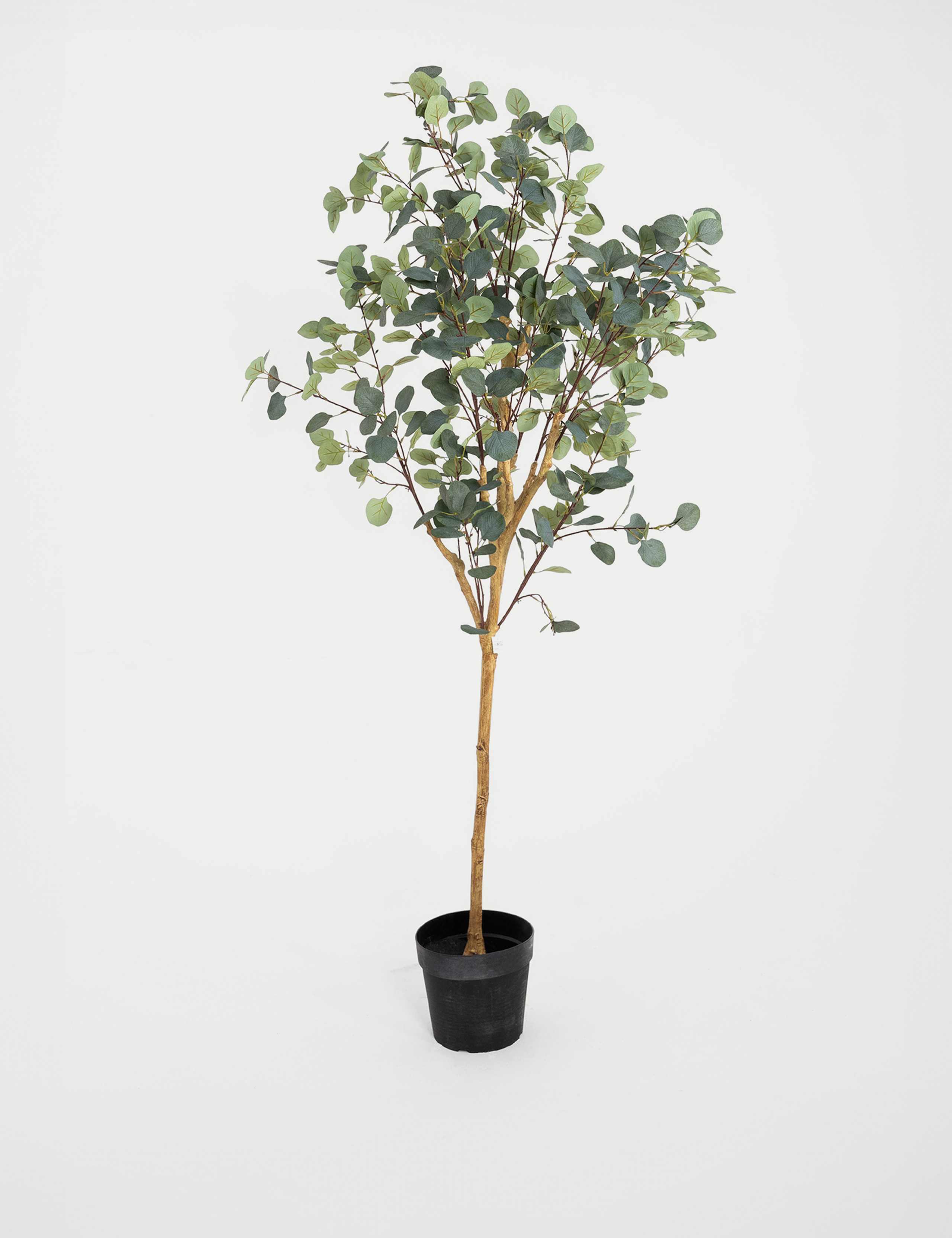 5.5ft Artificial Silver Dollar Eucalyptus Tree