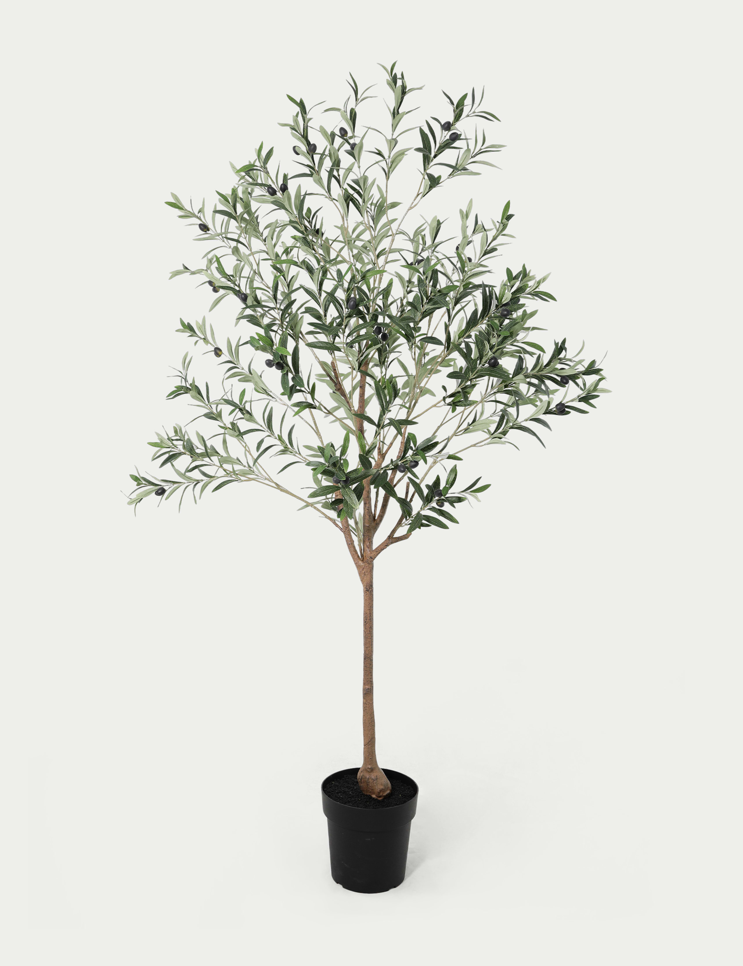 6ft Artificial Olive Tree