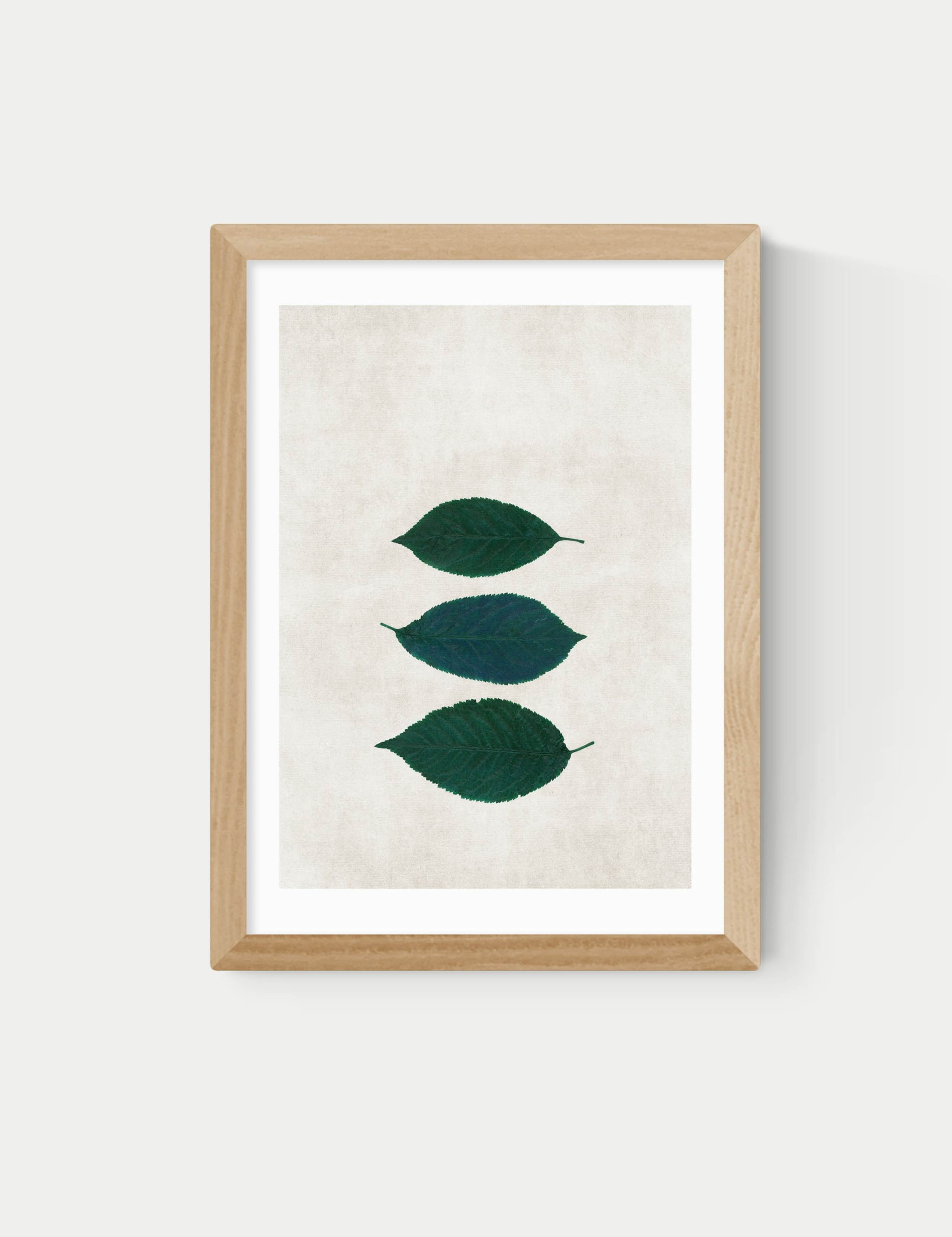 Three Of A Kind V Framed Art