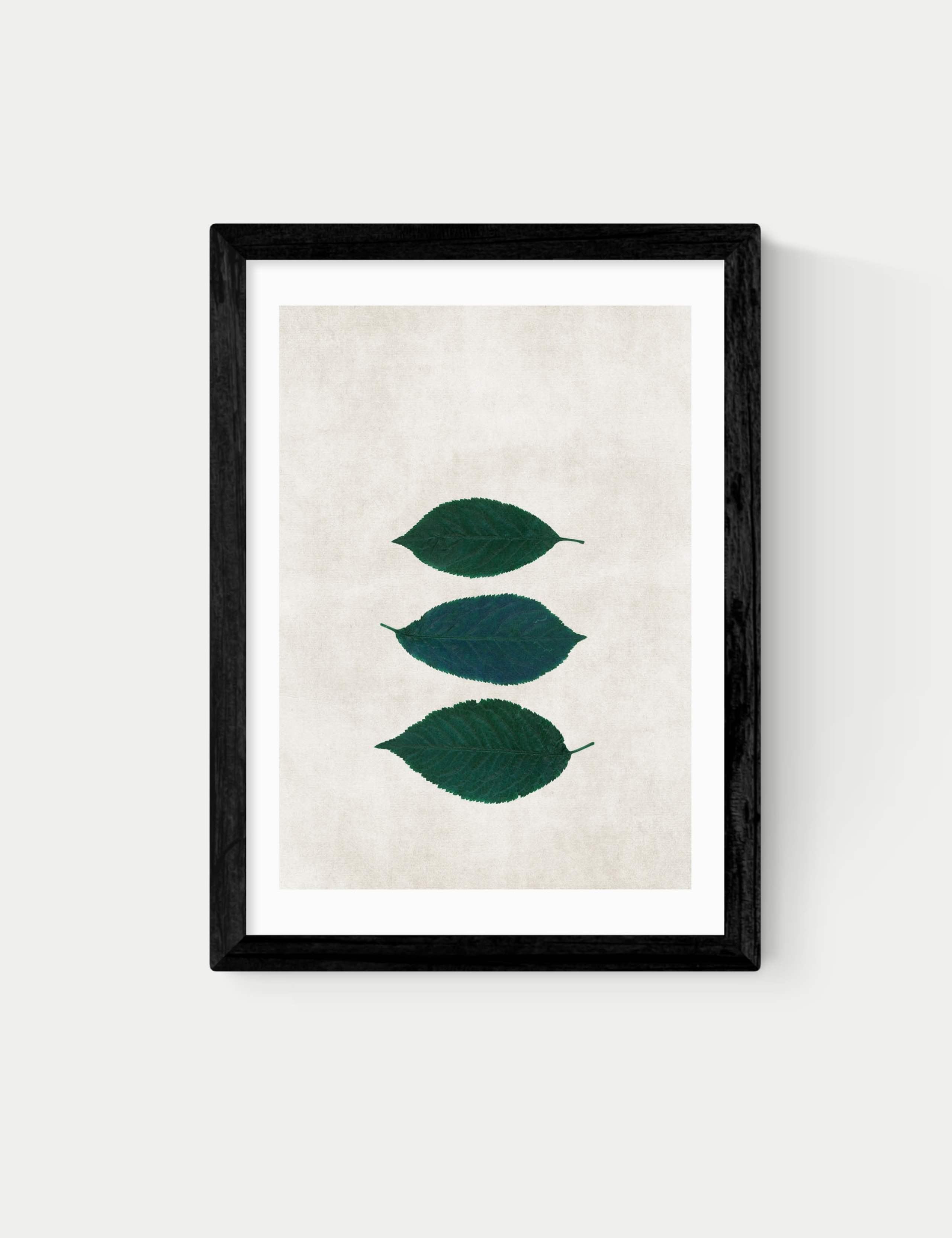 Three Of A Kind V Framed Art