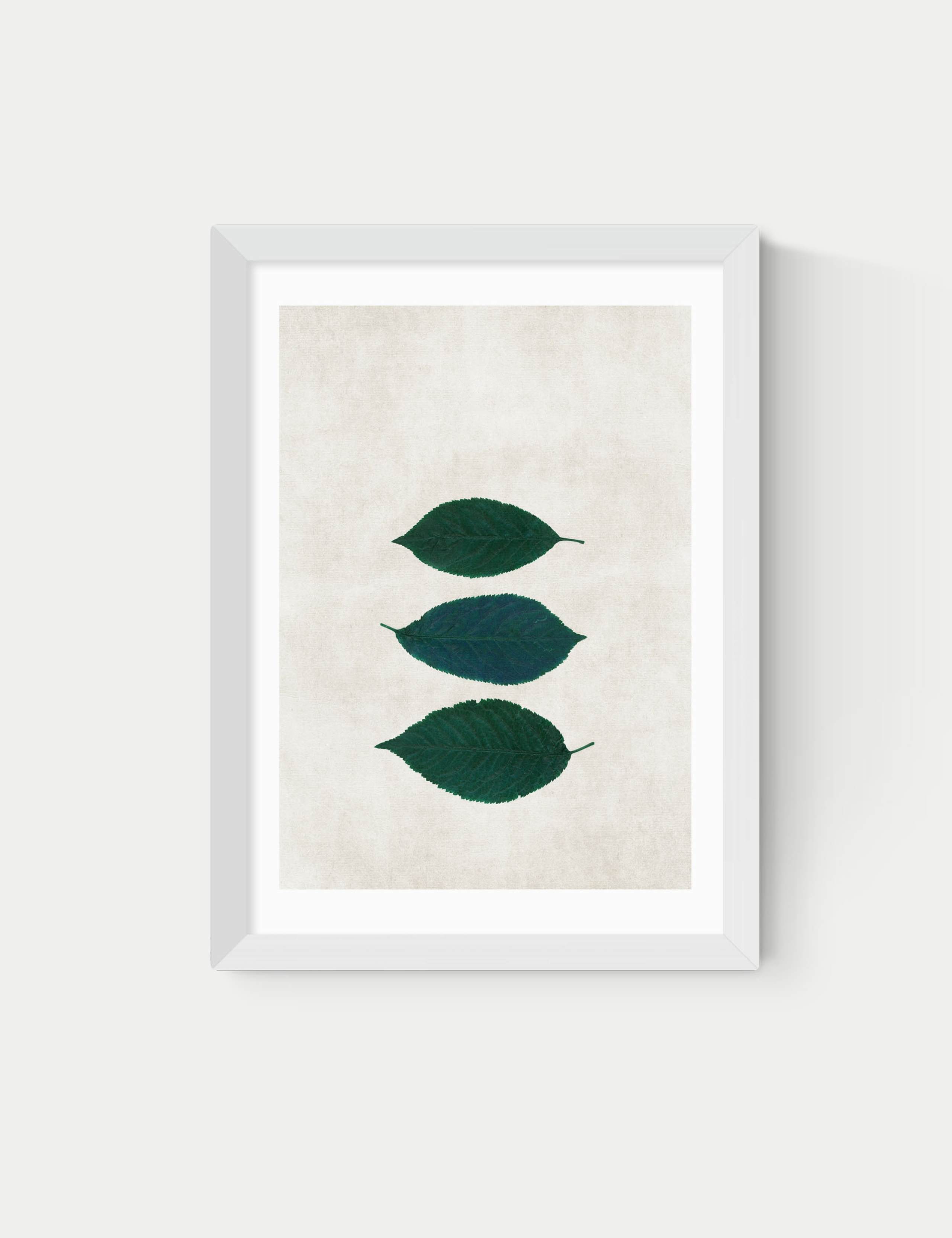 Three Of A Kind V Framed Art