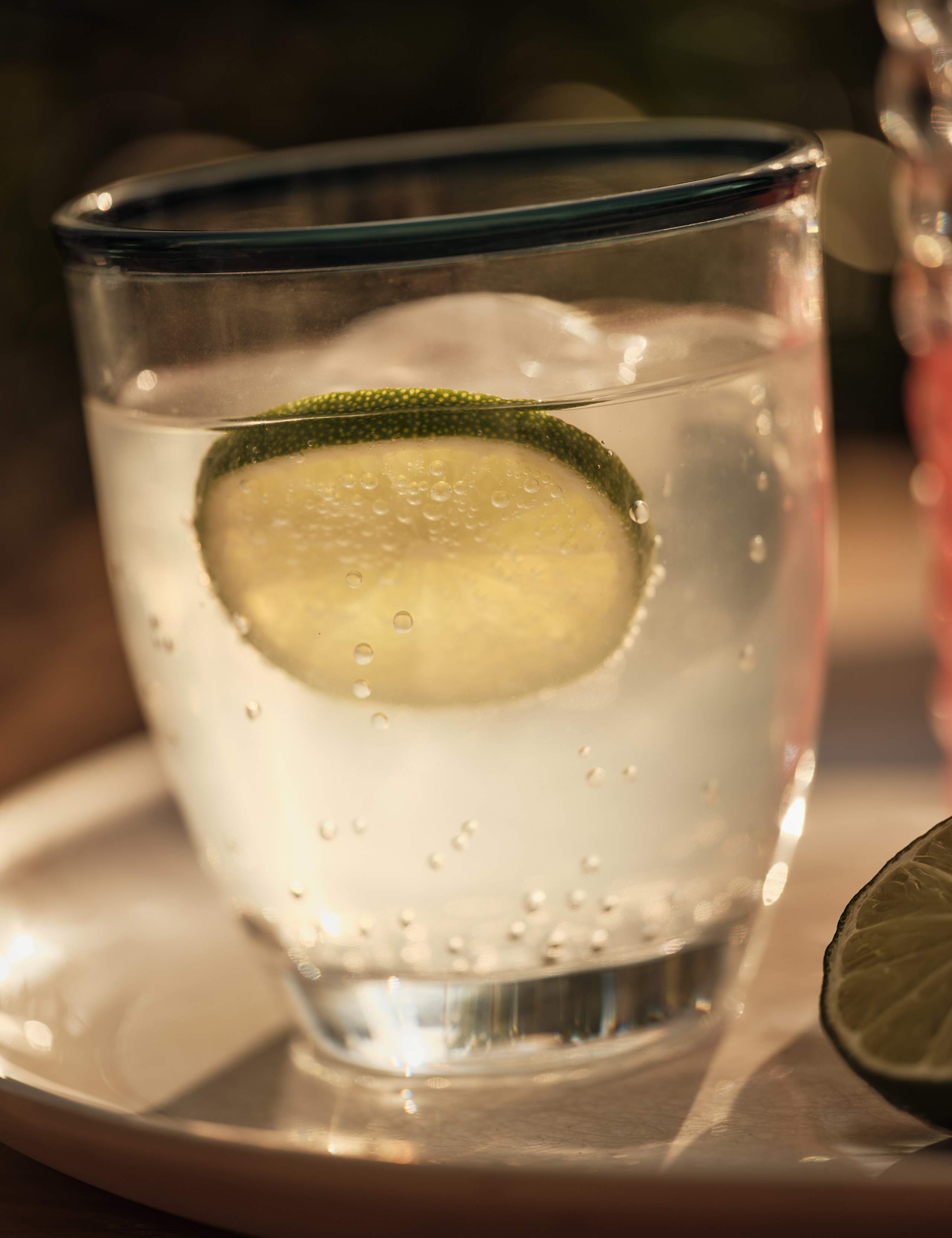 Set of 4 Contrast Rim Acrylic Picnic Tumblers