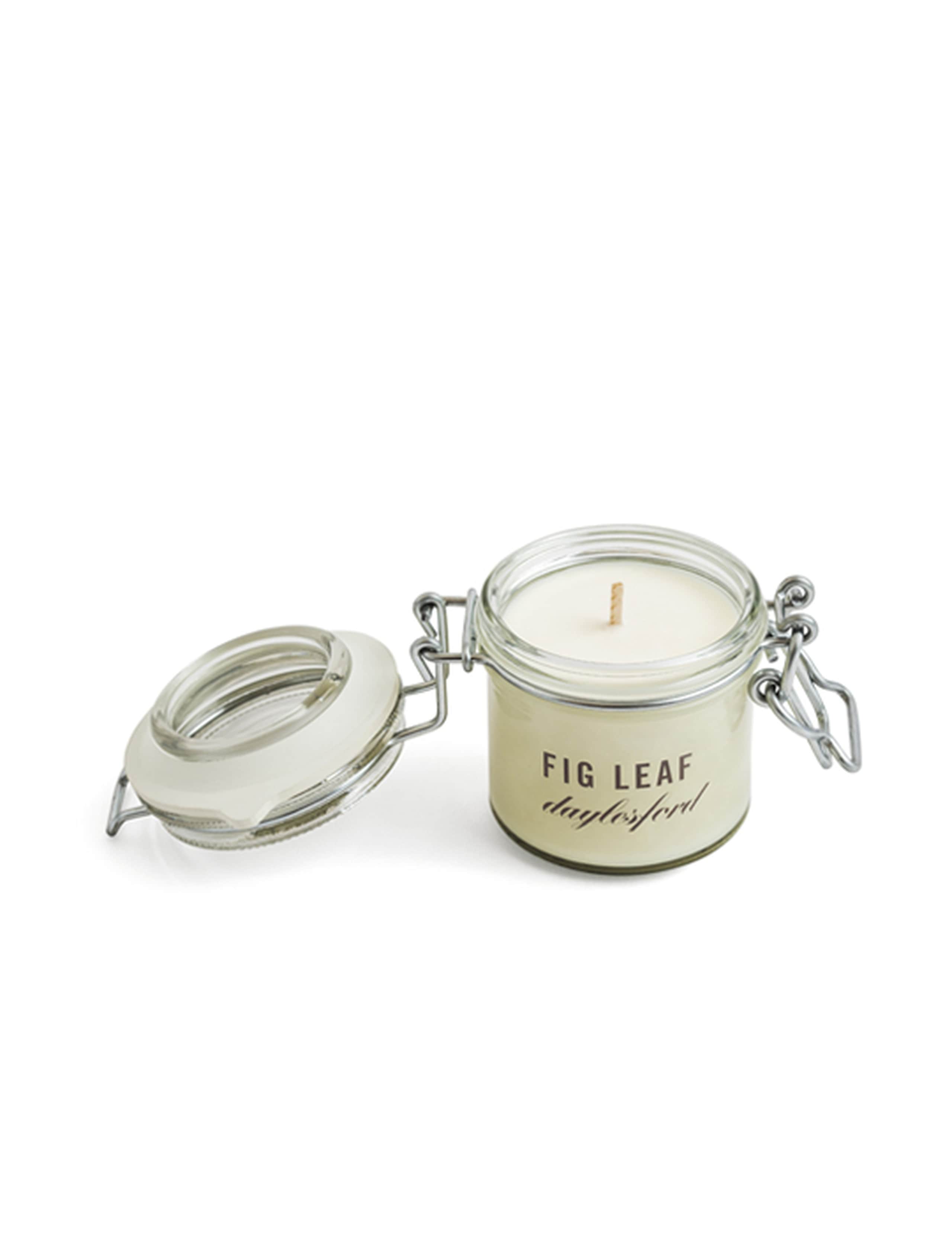 Botanical Fig Leaf Small Candle 85g