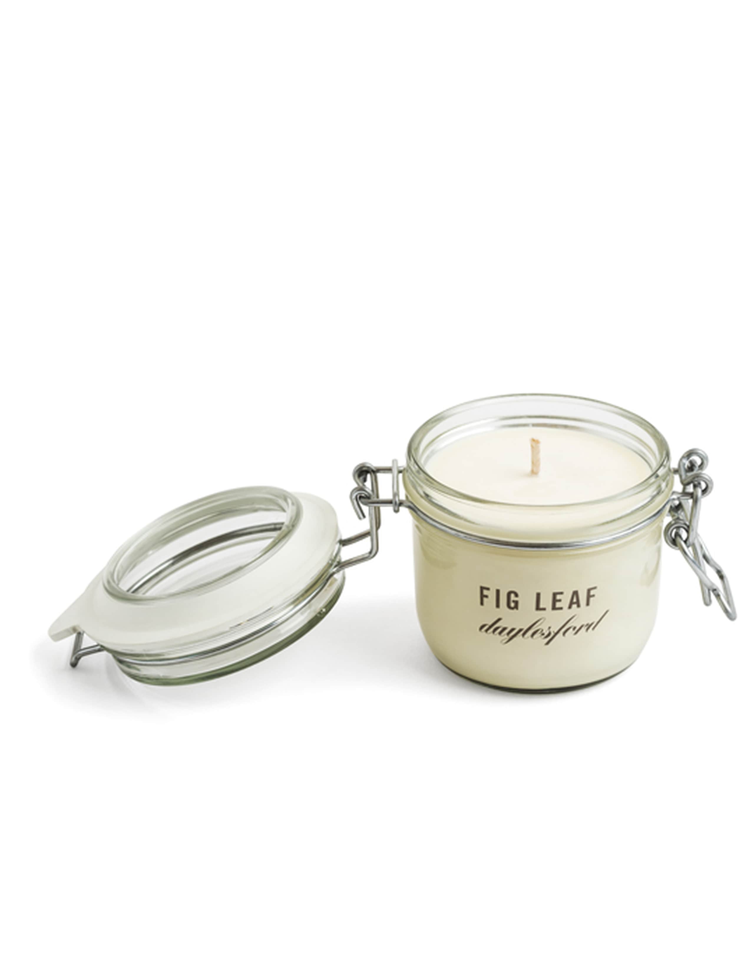Botanical Fig Leaf Medium Candle 180g