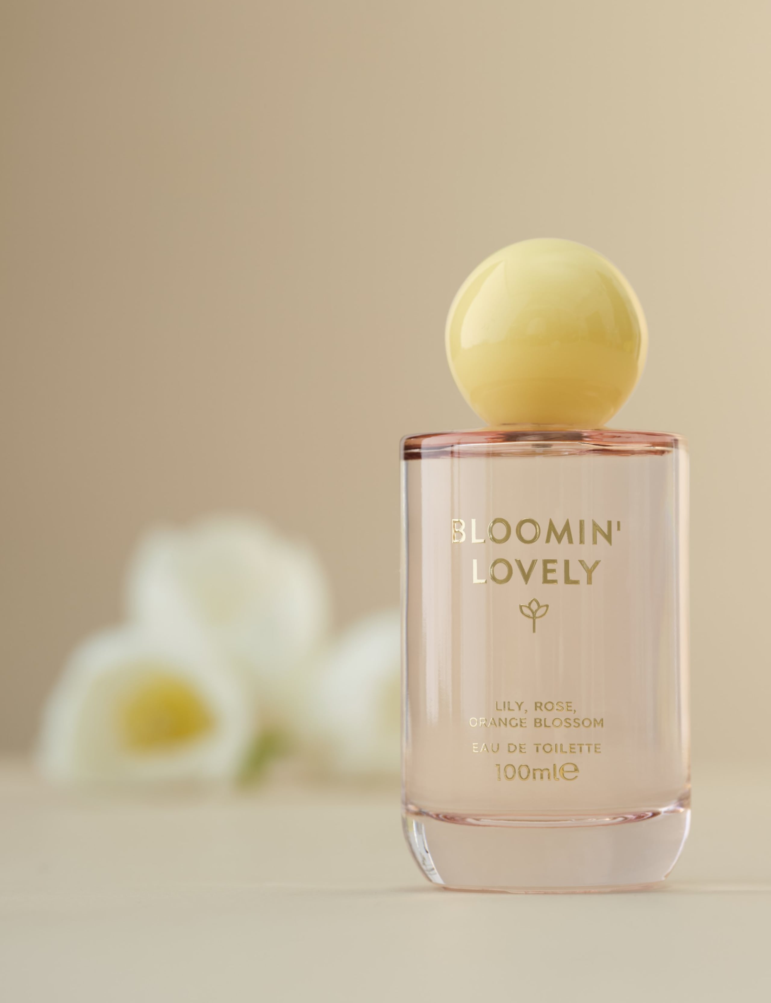 Bloomin Lovely Limited Edition Eau de Toilette 100ml