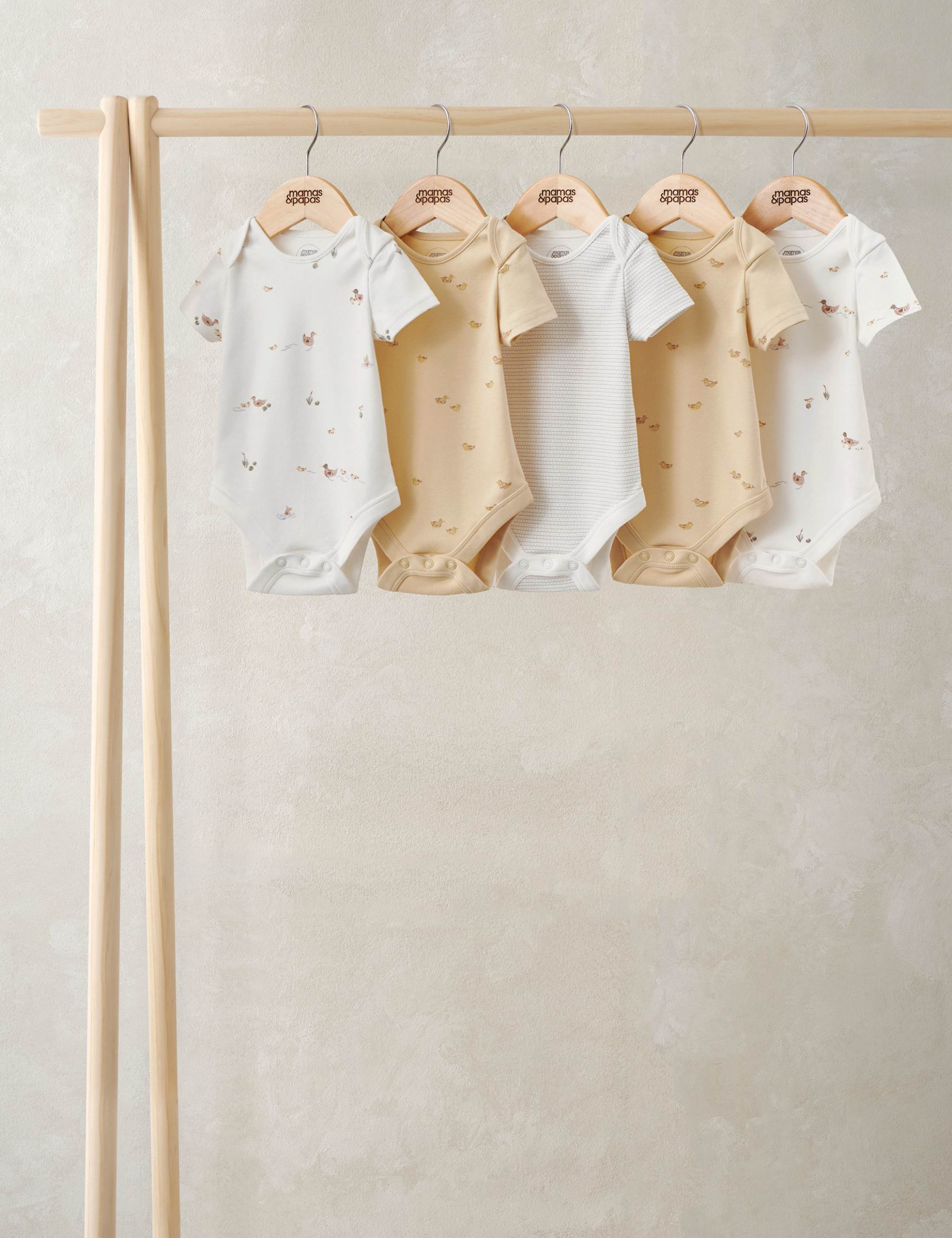 5 Pack Pure Cotton Bodysuits (0-24 Months)