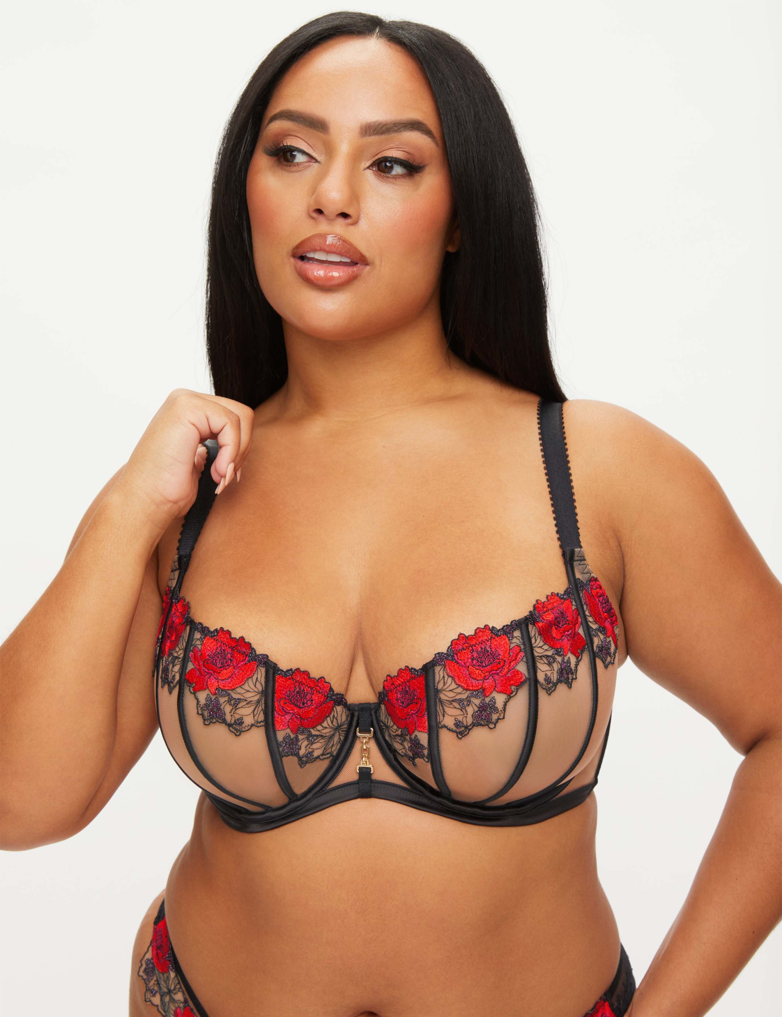 Sheer Embroidered Wired Balcony Bra (DD-H)