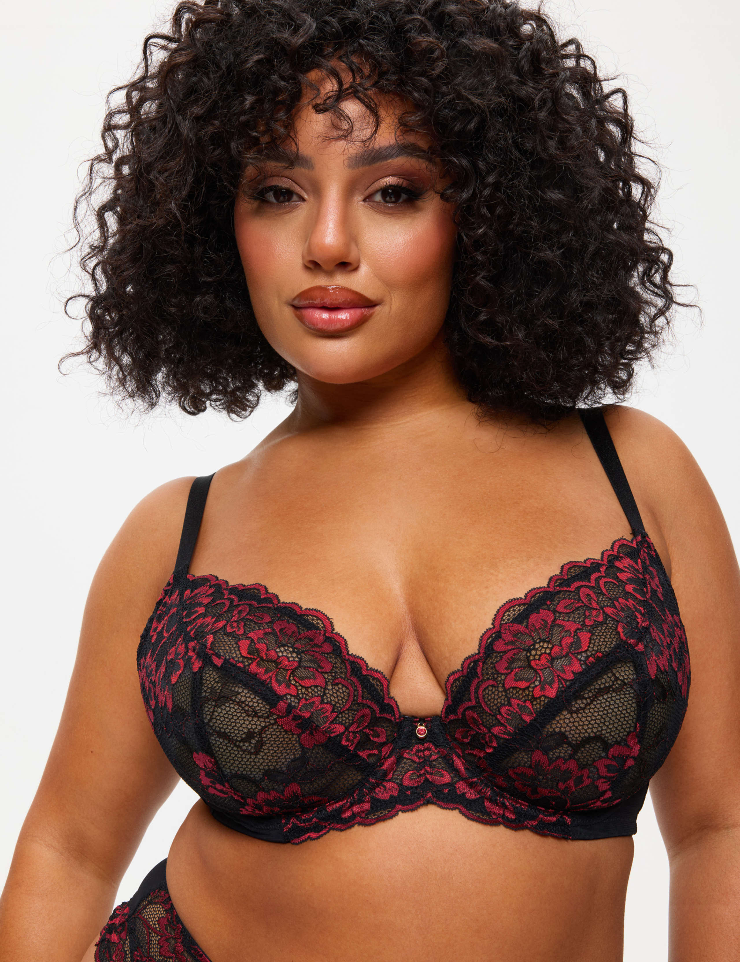 Sexy Lace Wired Plunge Bra (DD-H)