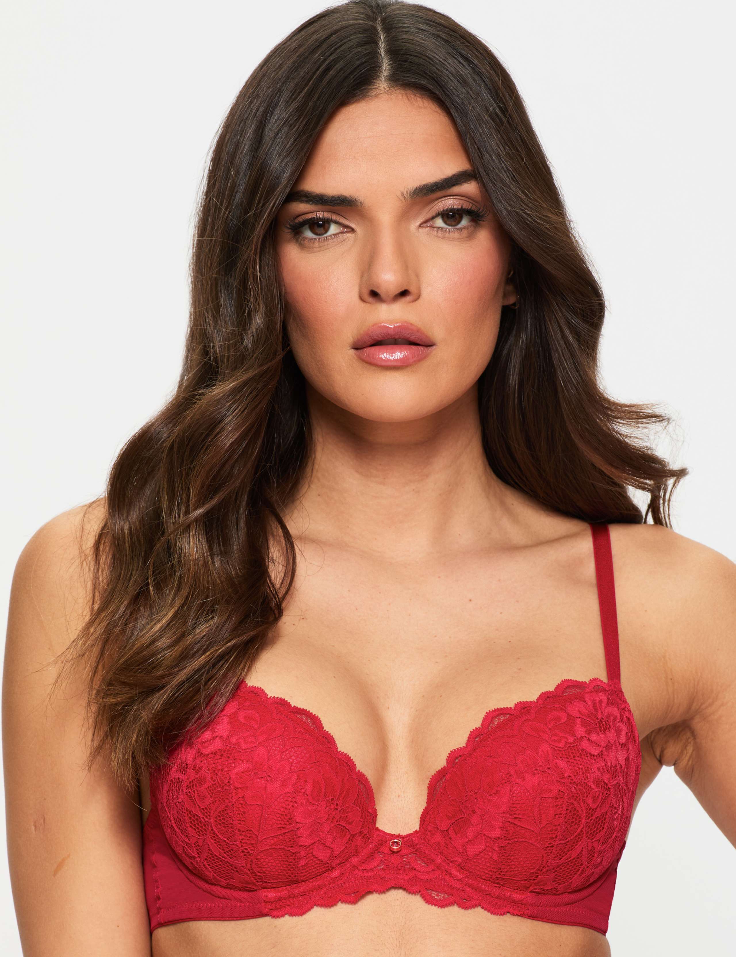 Sexy Lace Wired Plunge Bra (A-G)