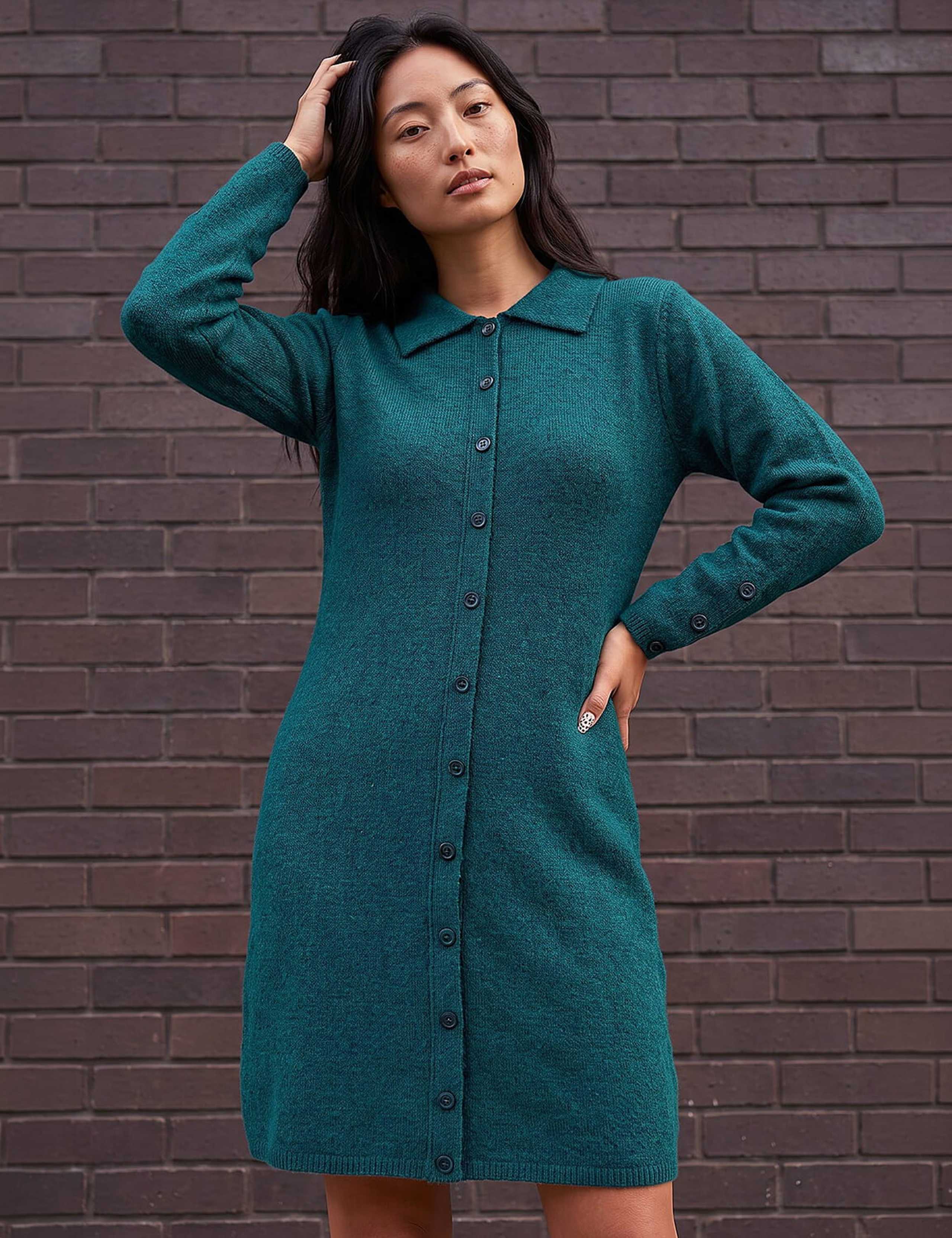 Petite Collared Knitted Shift Dress