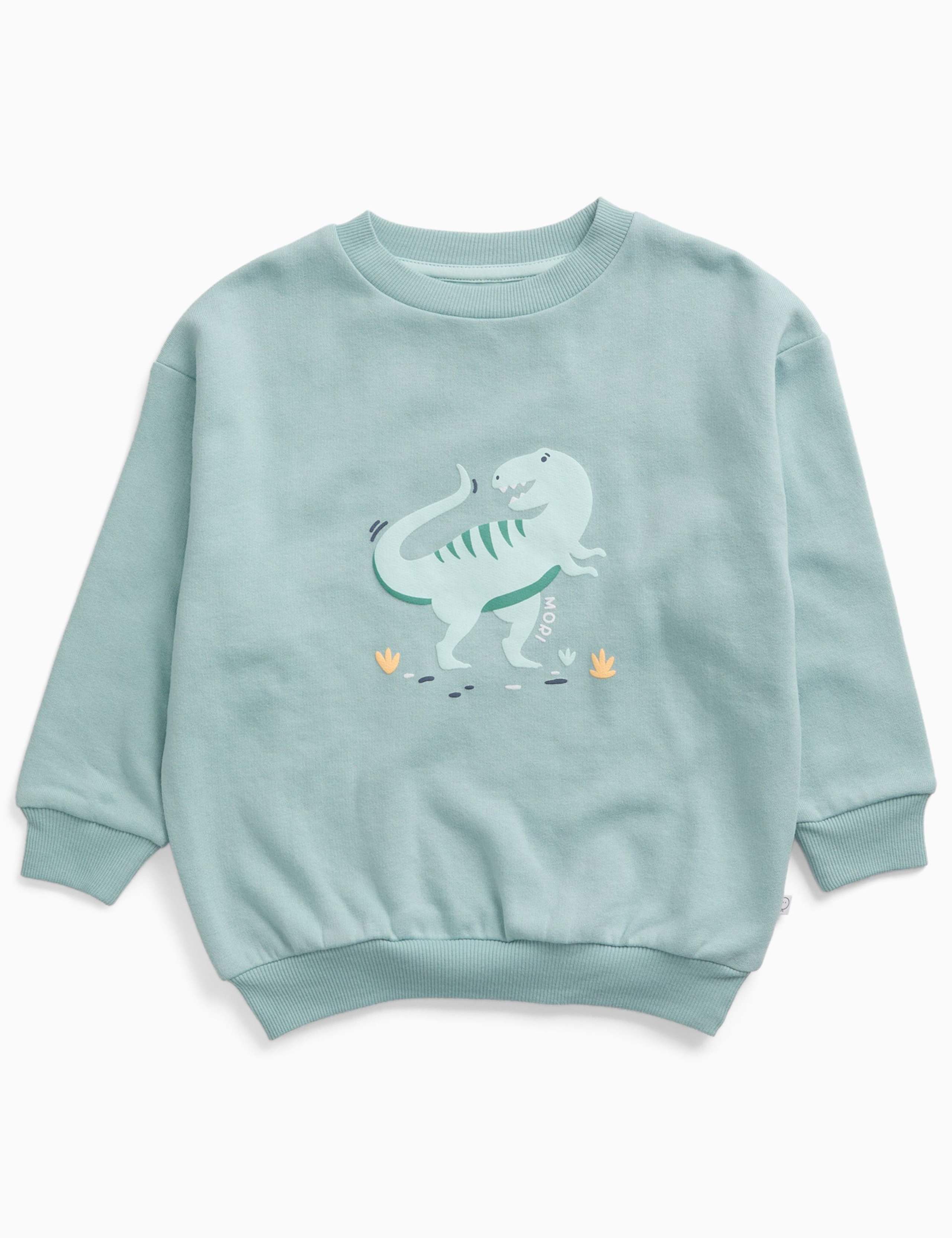 Cotton Blend Dinosaur Sweatshirt (3 Mths-6 Yrs)