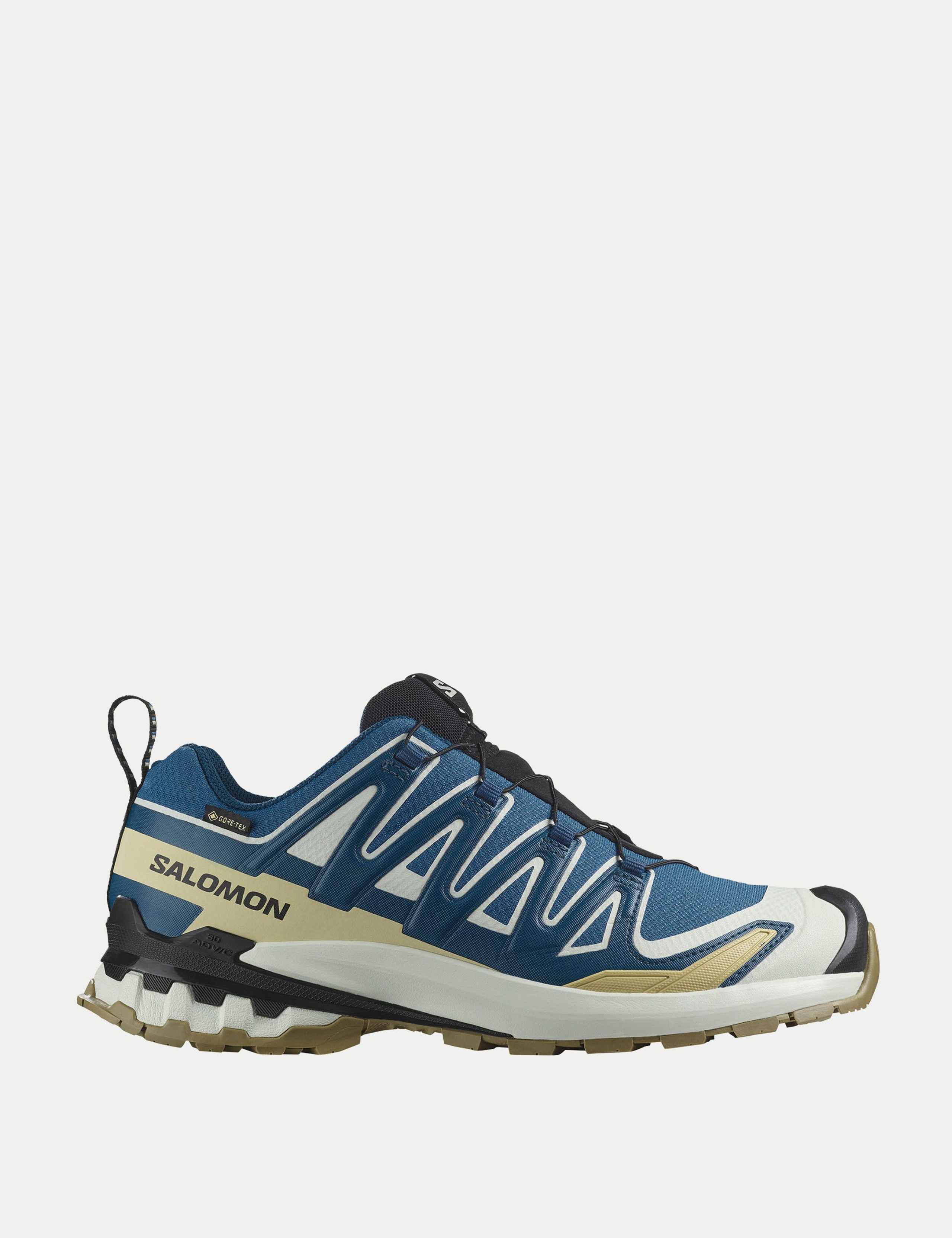XA Pro 3D V9 Gore-Tex Trainers