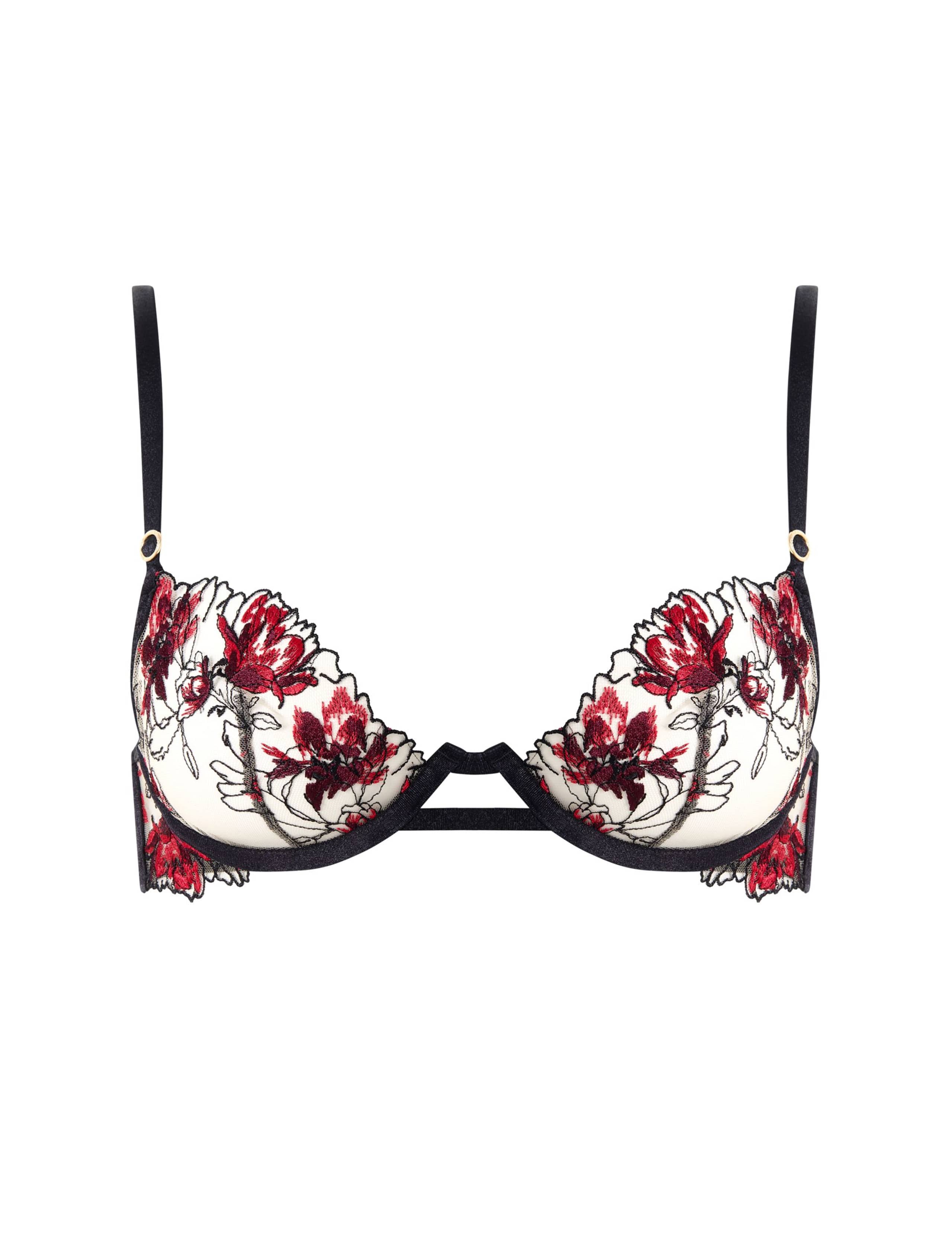 Calista Embroidered Sheer Wired Bra (B-DD)