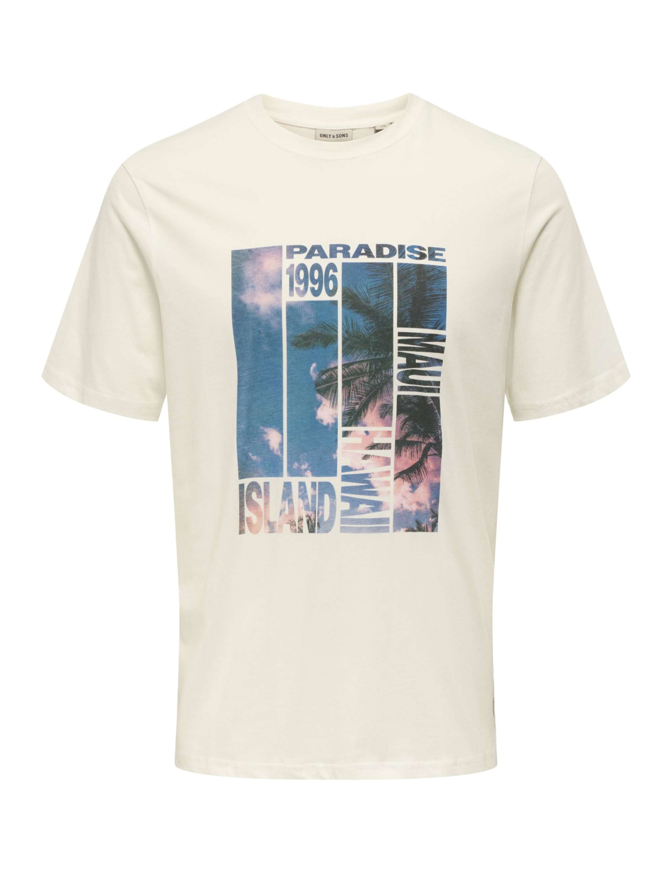 Pure Cotton Print T-Shirt