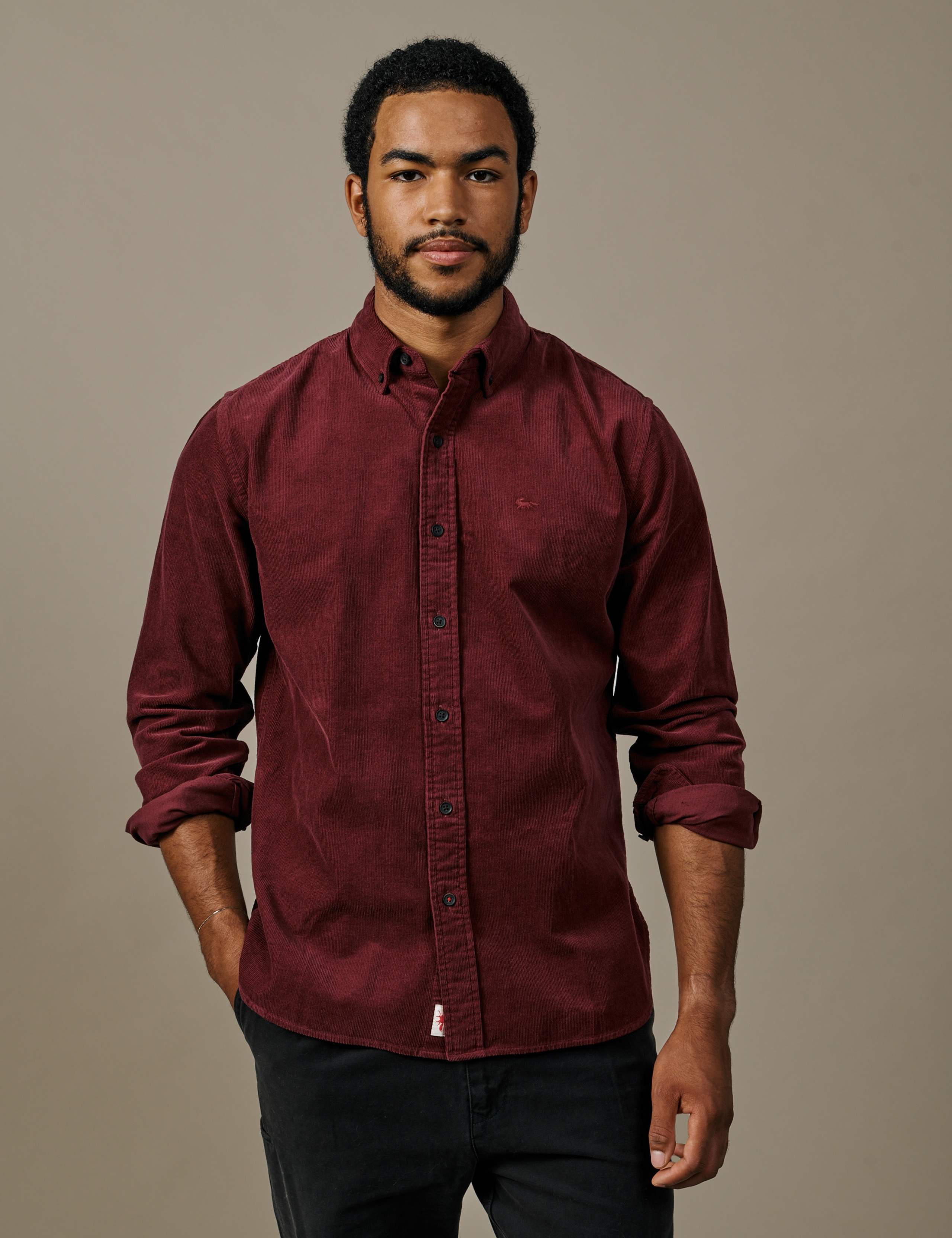 Regular Fit Pure Cotton Shirt