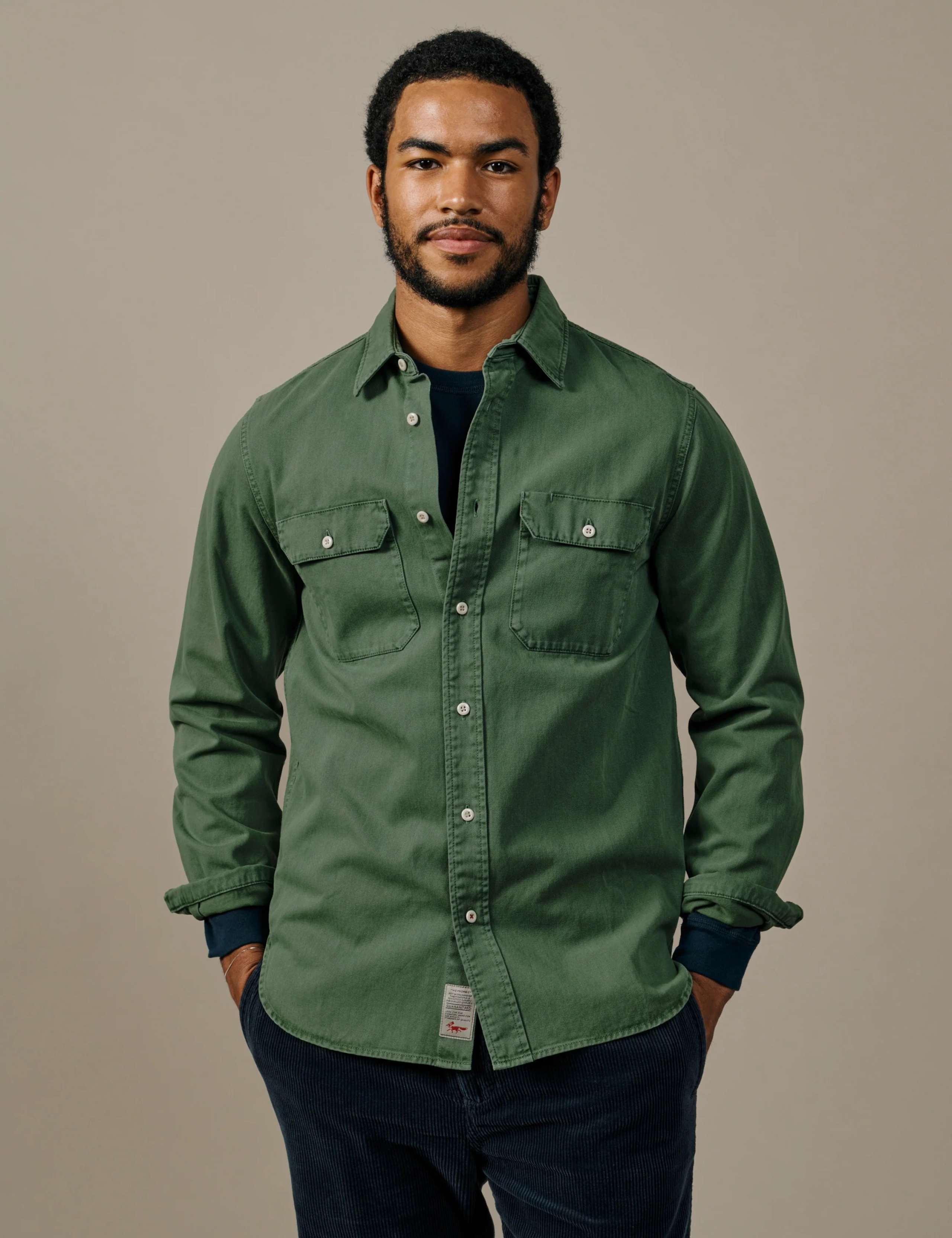 Regular Fit Pure Cotton Shirt