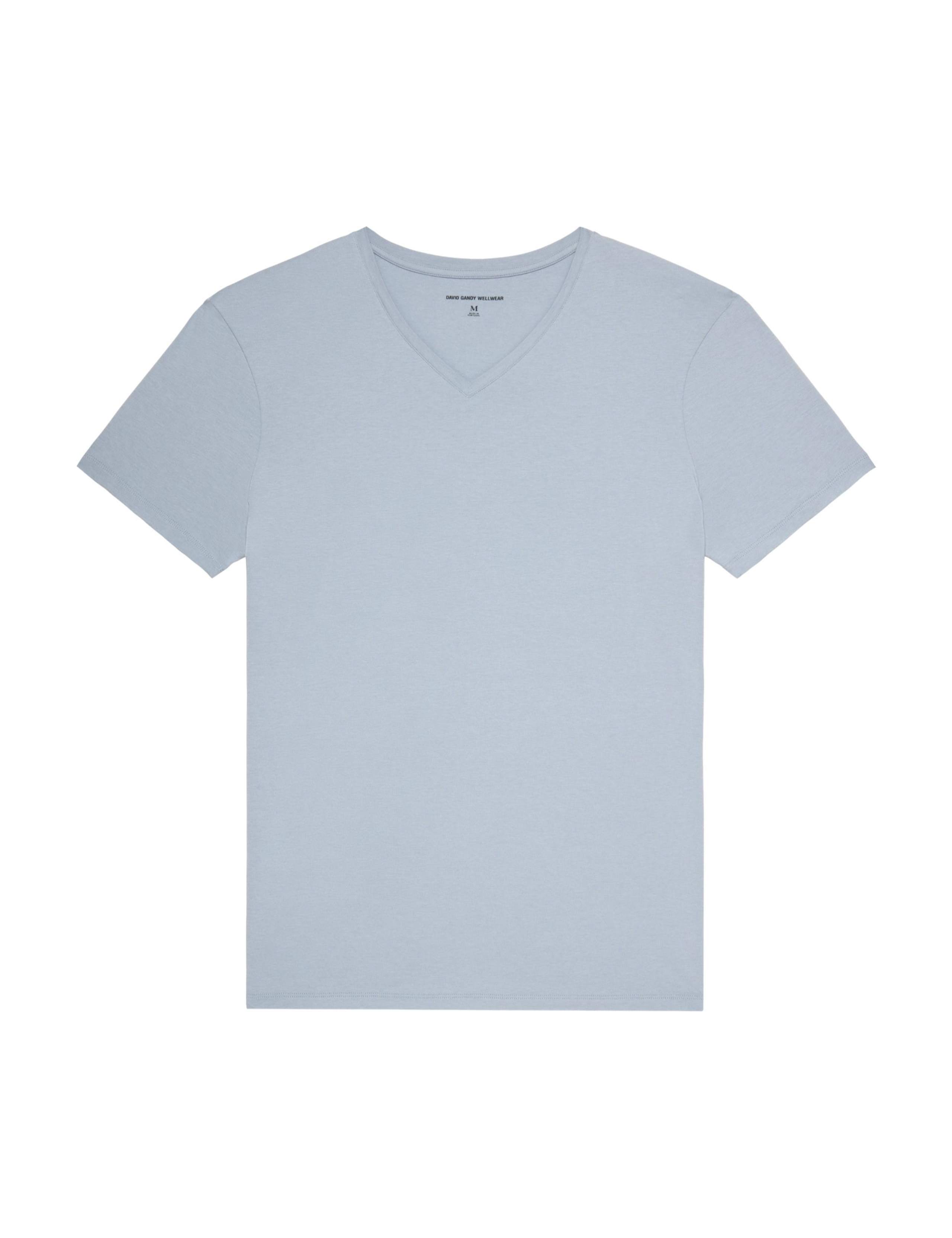 Ultimate Cotton Modal V-Neck T-Shirt