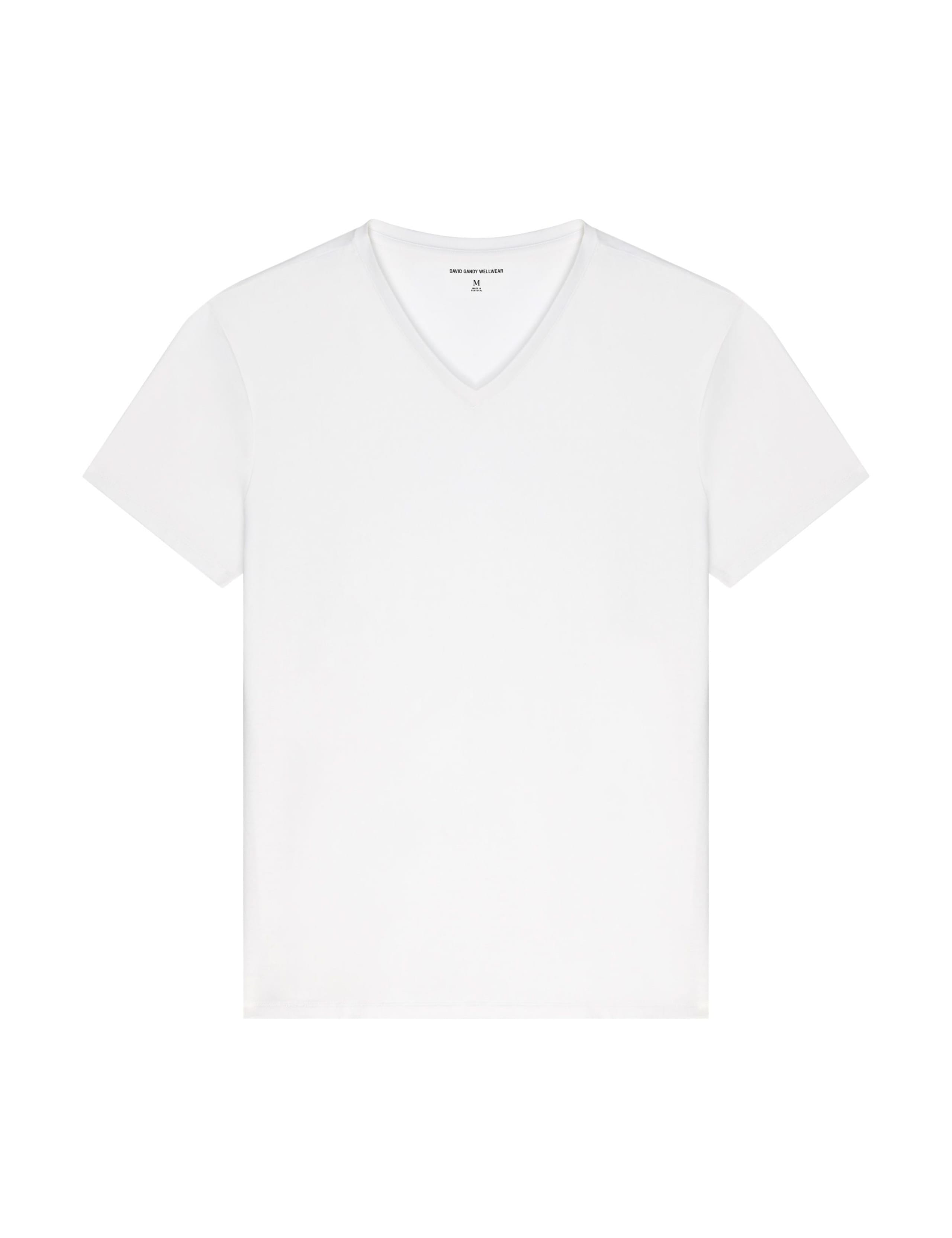 Ultimate Cotton Modal V-Neck T-Shirt