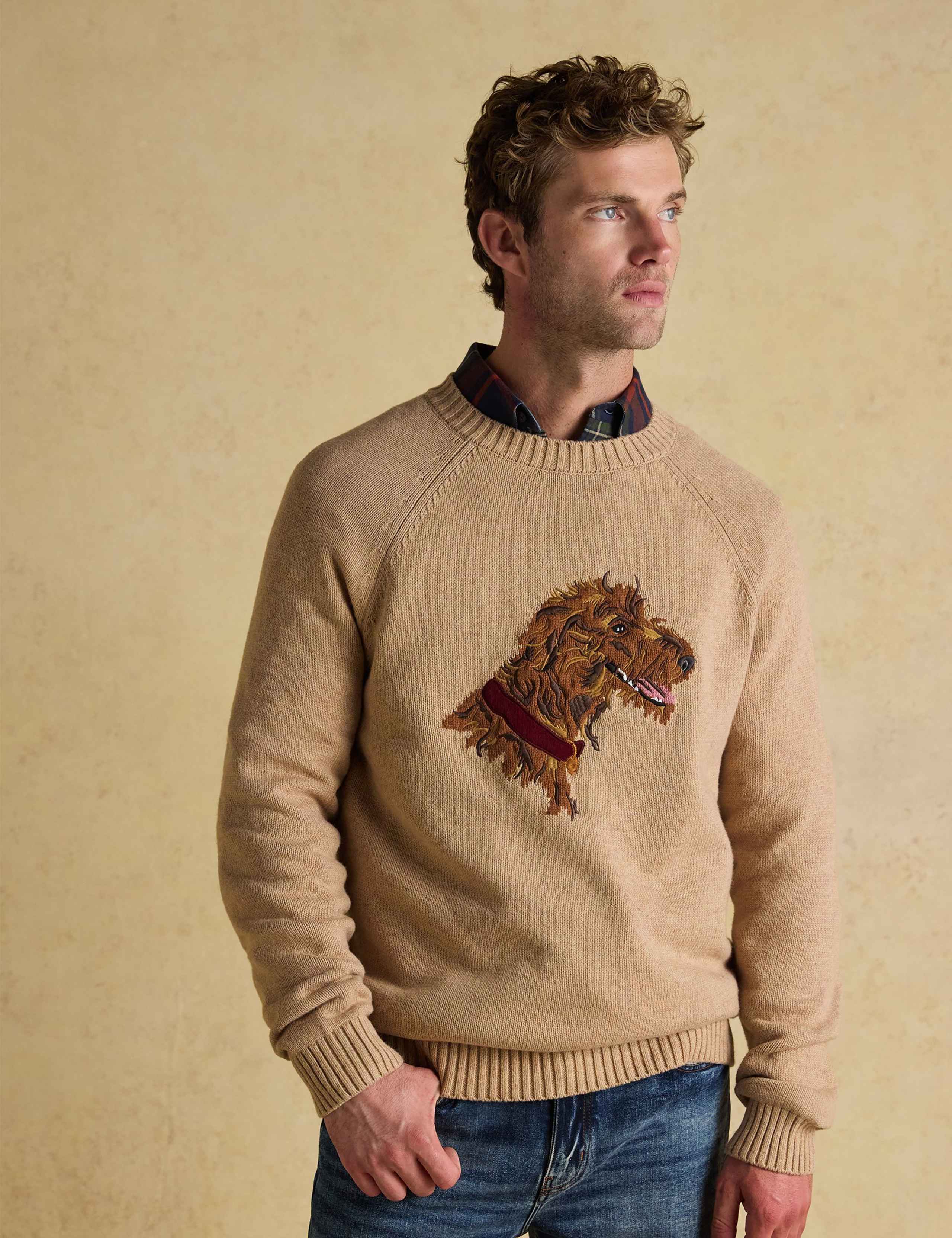Cotton Rich Irish Wolfhound Jumper