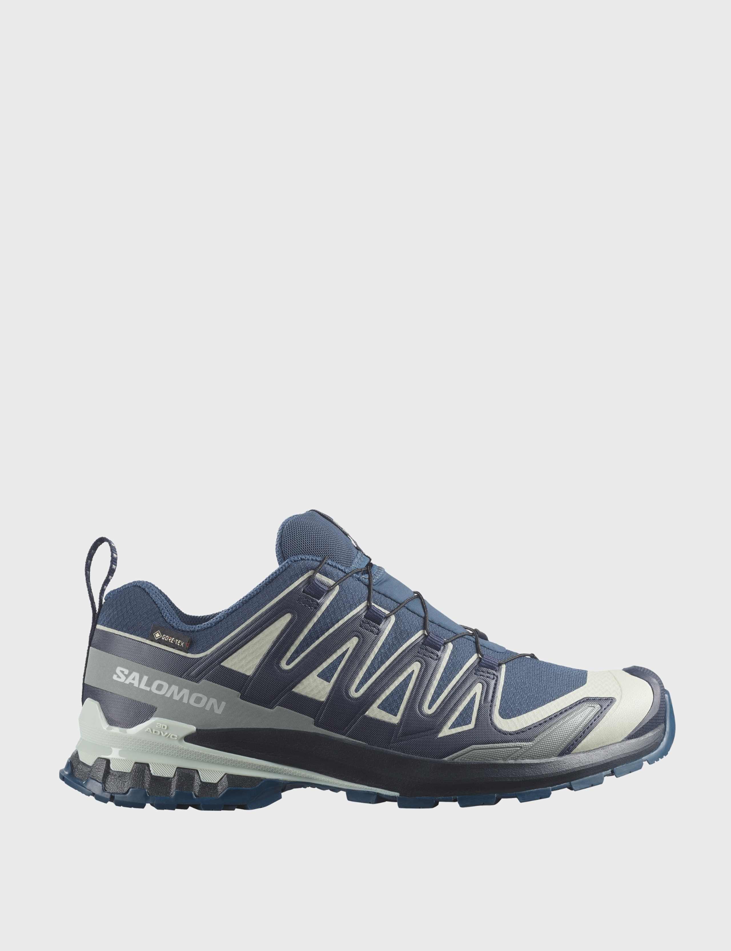XA Pro 3D V9 GORE-TEX® Trainers