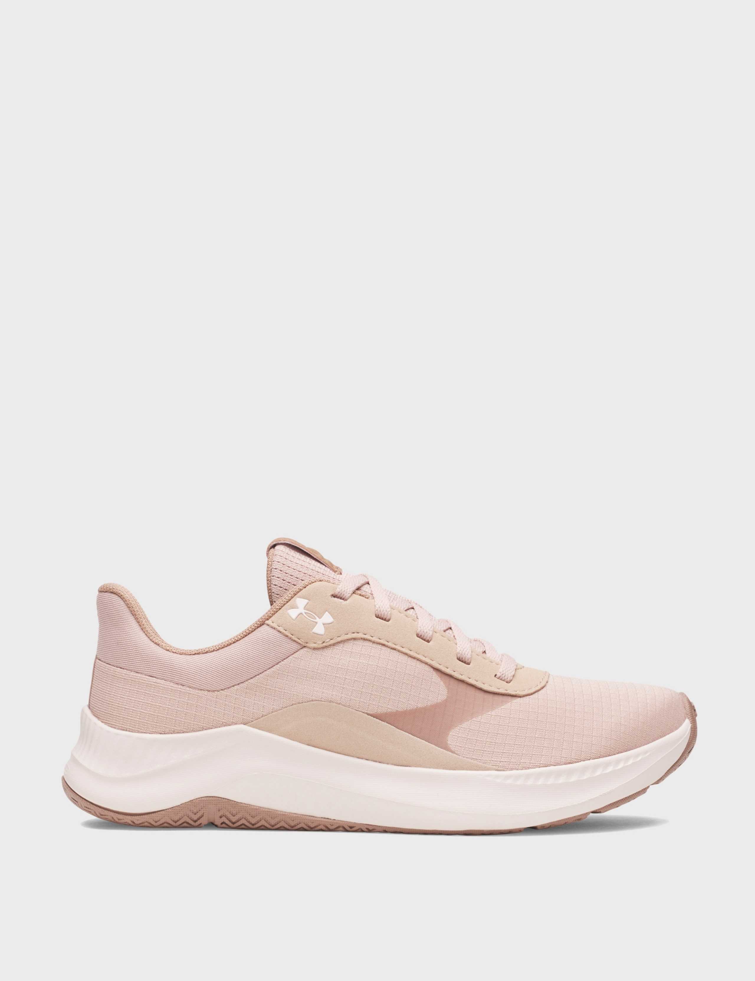 Aurora 3 Trainers