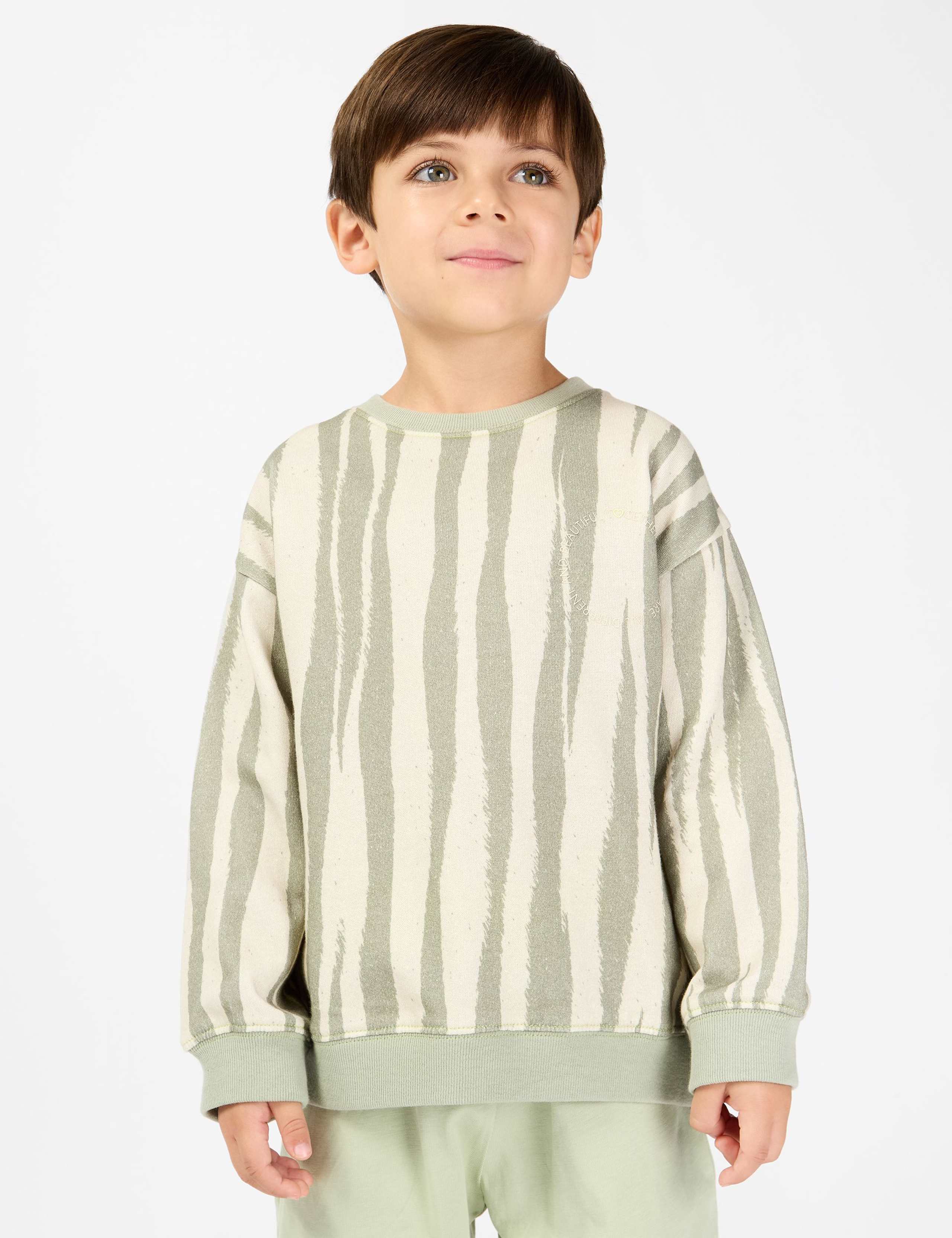 Pure Cotton Tiger Stripe Sweatshirt (2-8 Yrs)