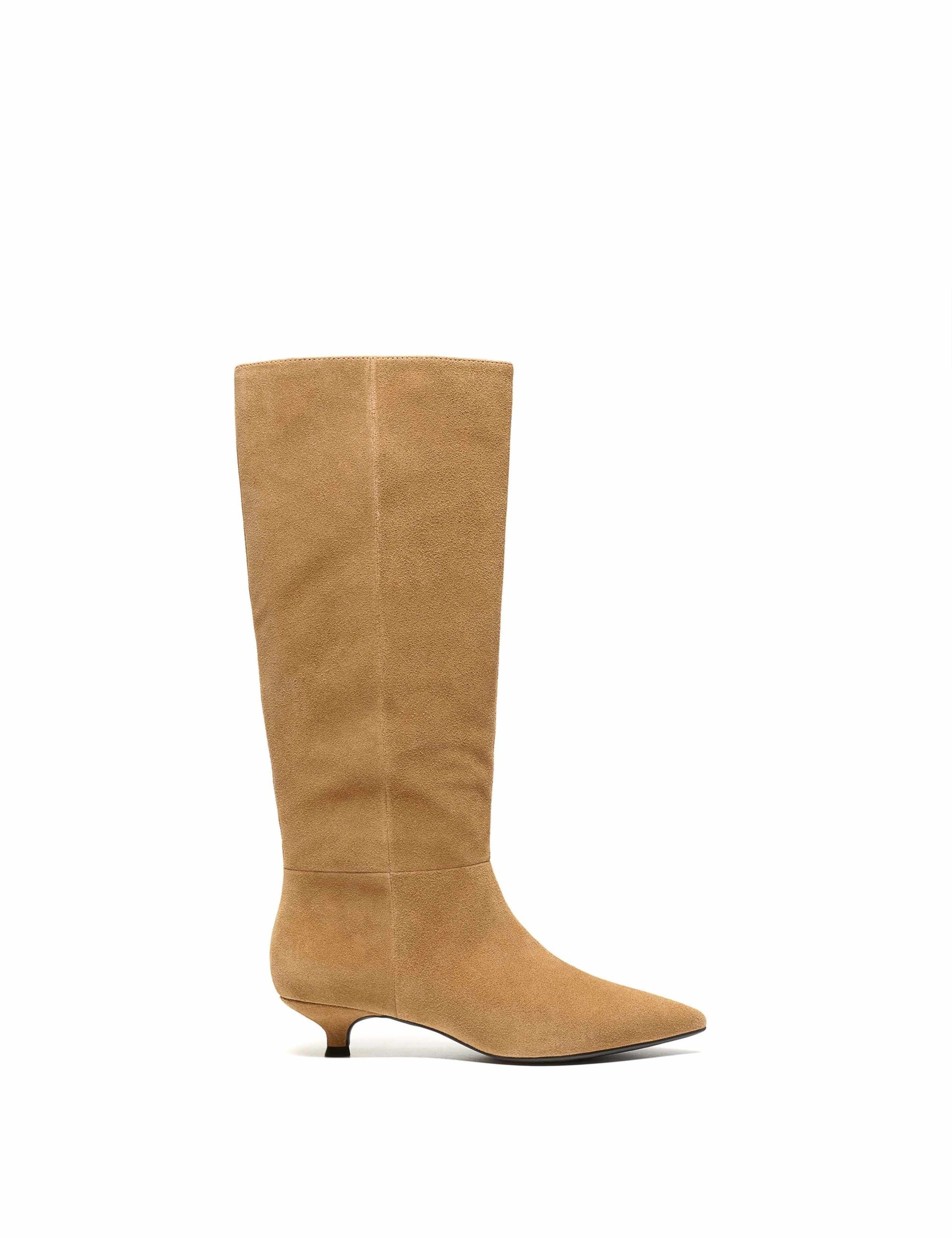 Pisa Suede Kitten Heel Pointed Knee High Boots