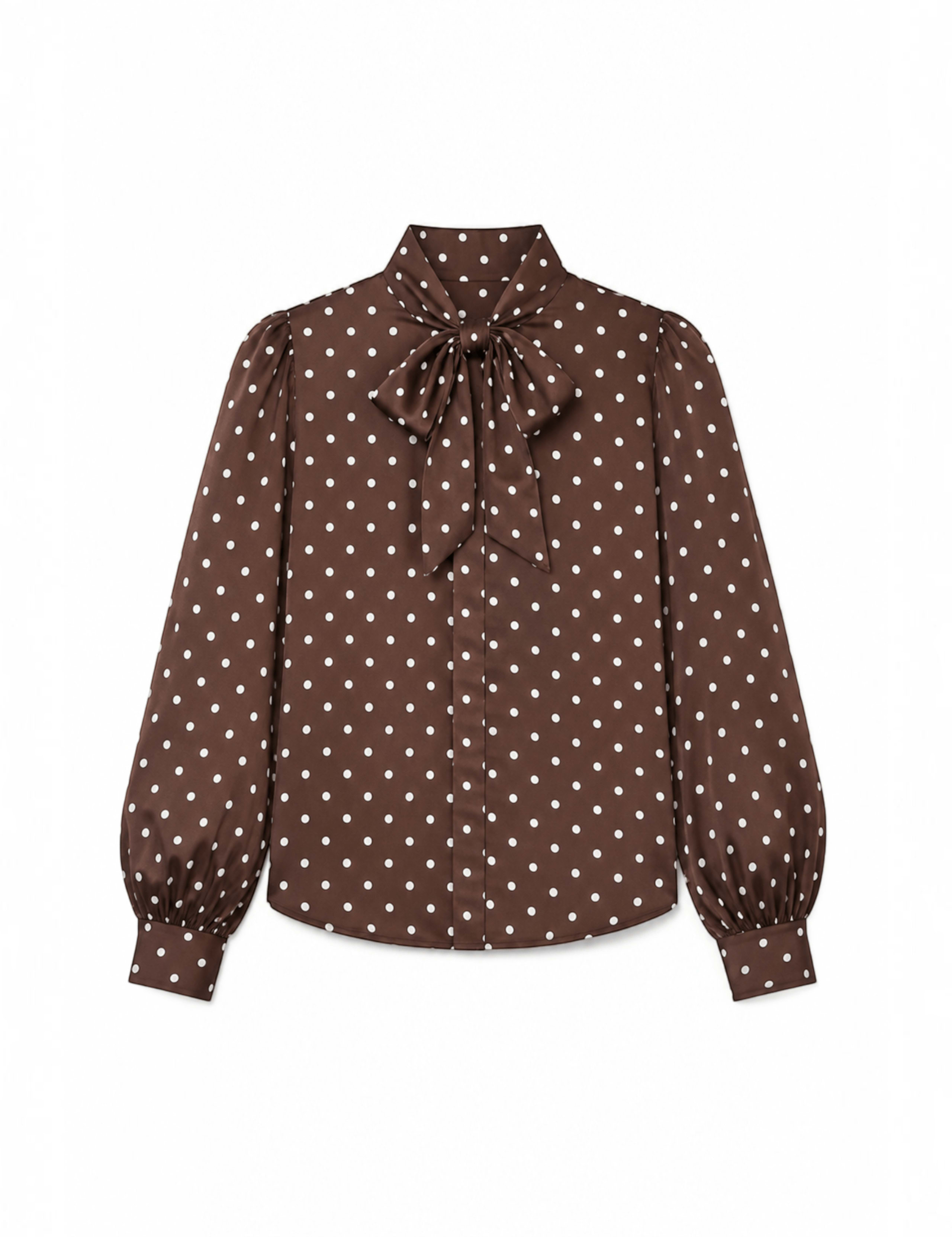Polka Dot Tie Neck Shirt
