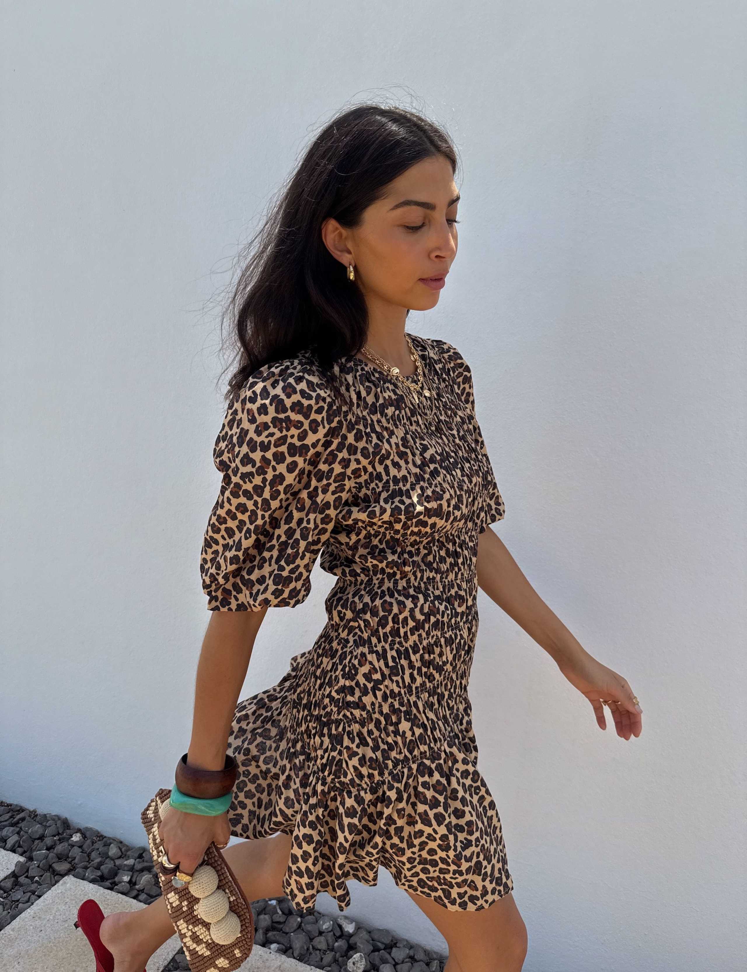 Leopard Print Tie Neck Mini Waisted Dress
