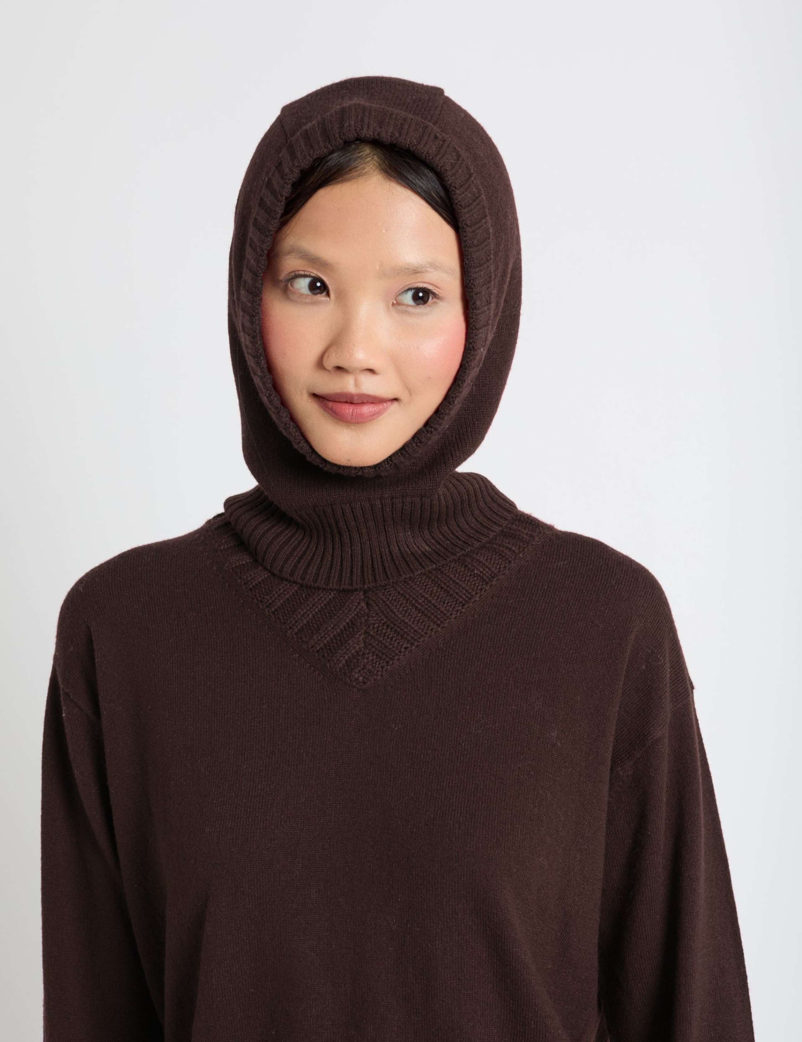 Wool Rich Balaclava With Cashmere