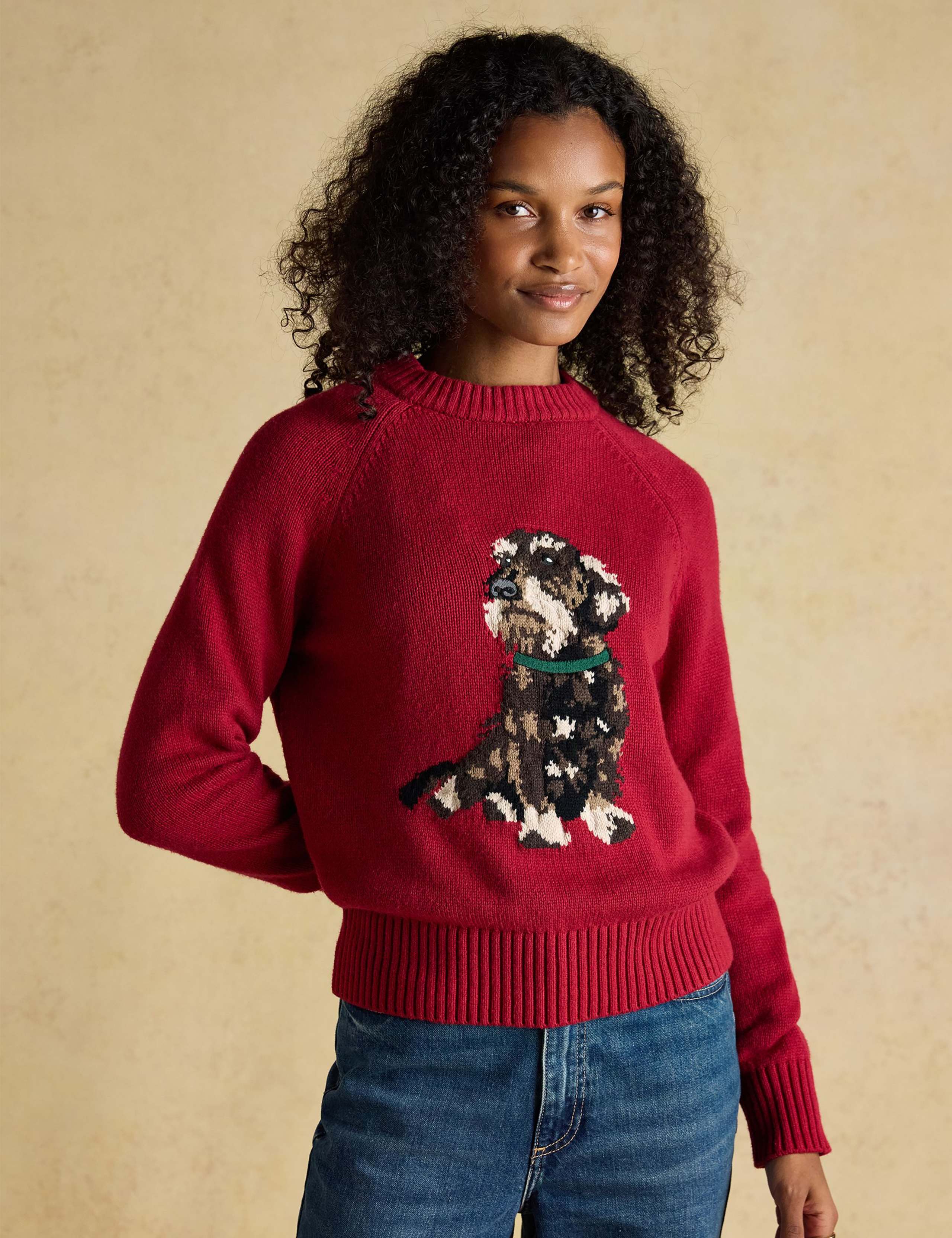 Cotton Rich Embroidered Jumper with Wool