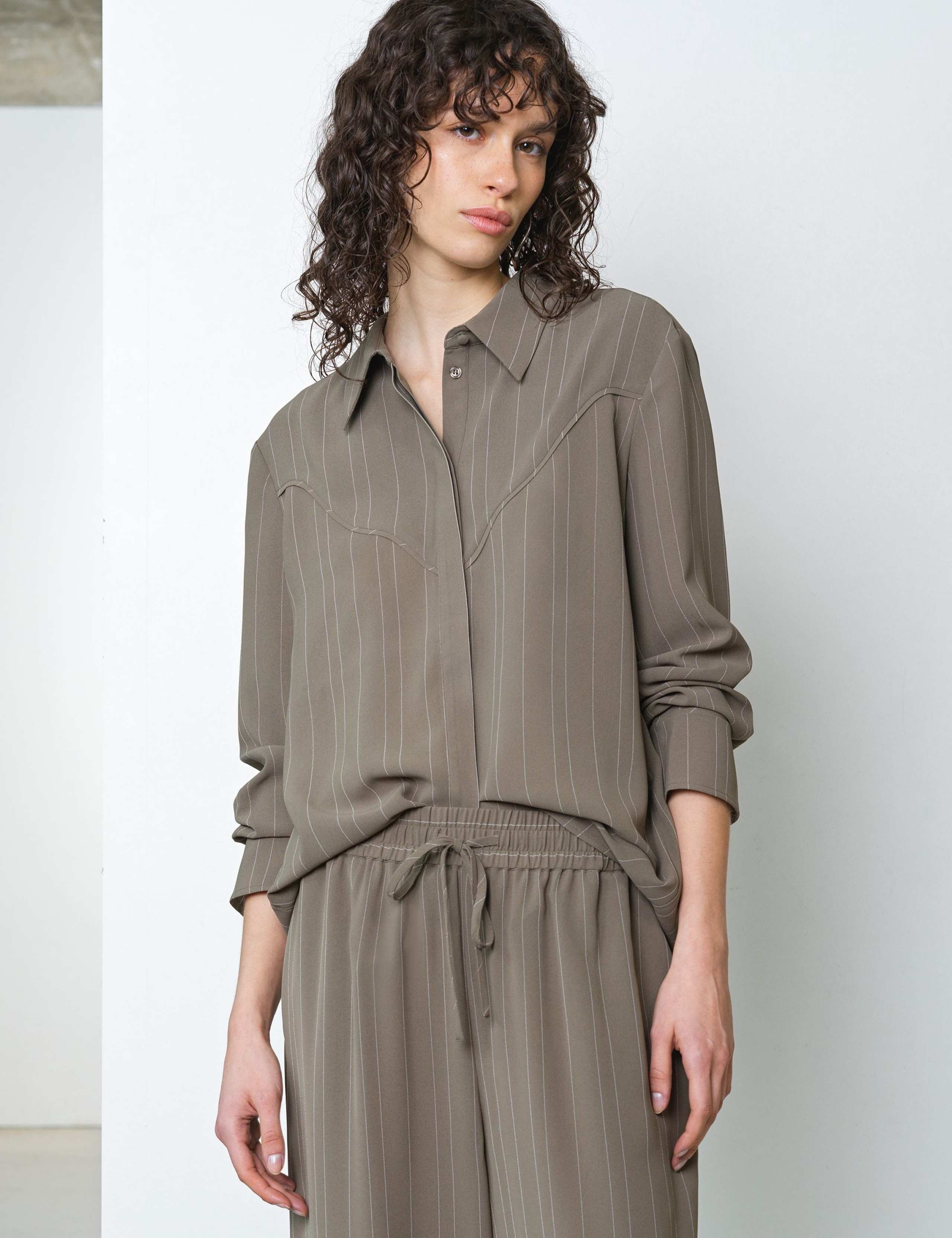 Pinstripe Collared Yoke Detail Shirt