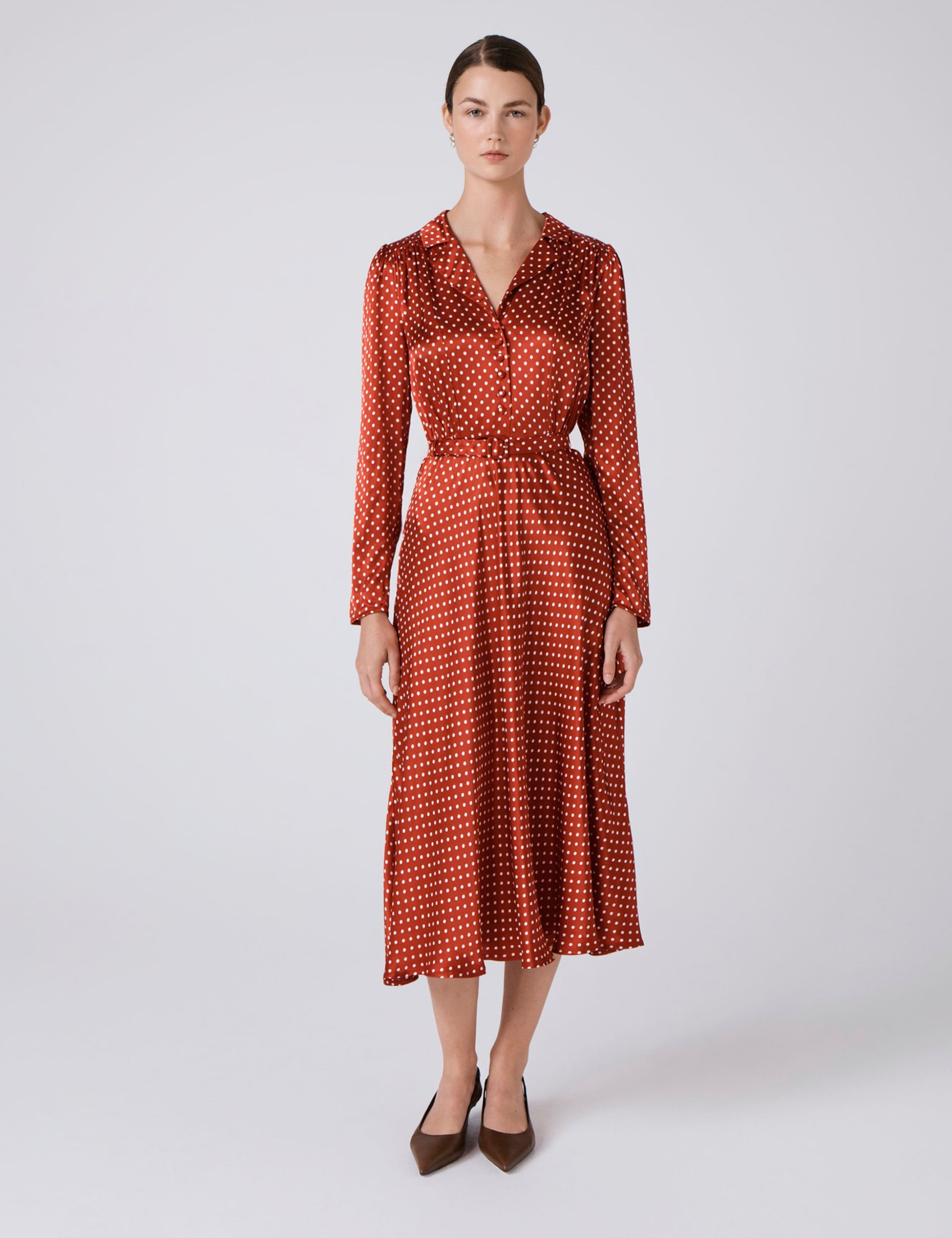Polka Dot Collared Midi Tea Dress