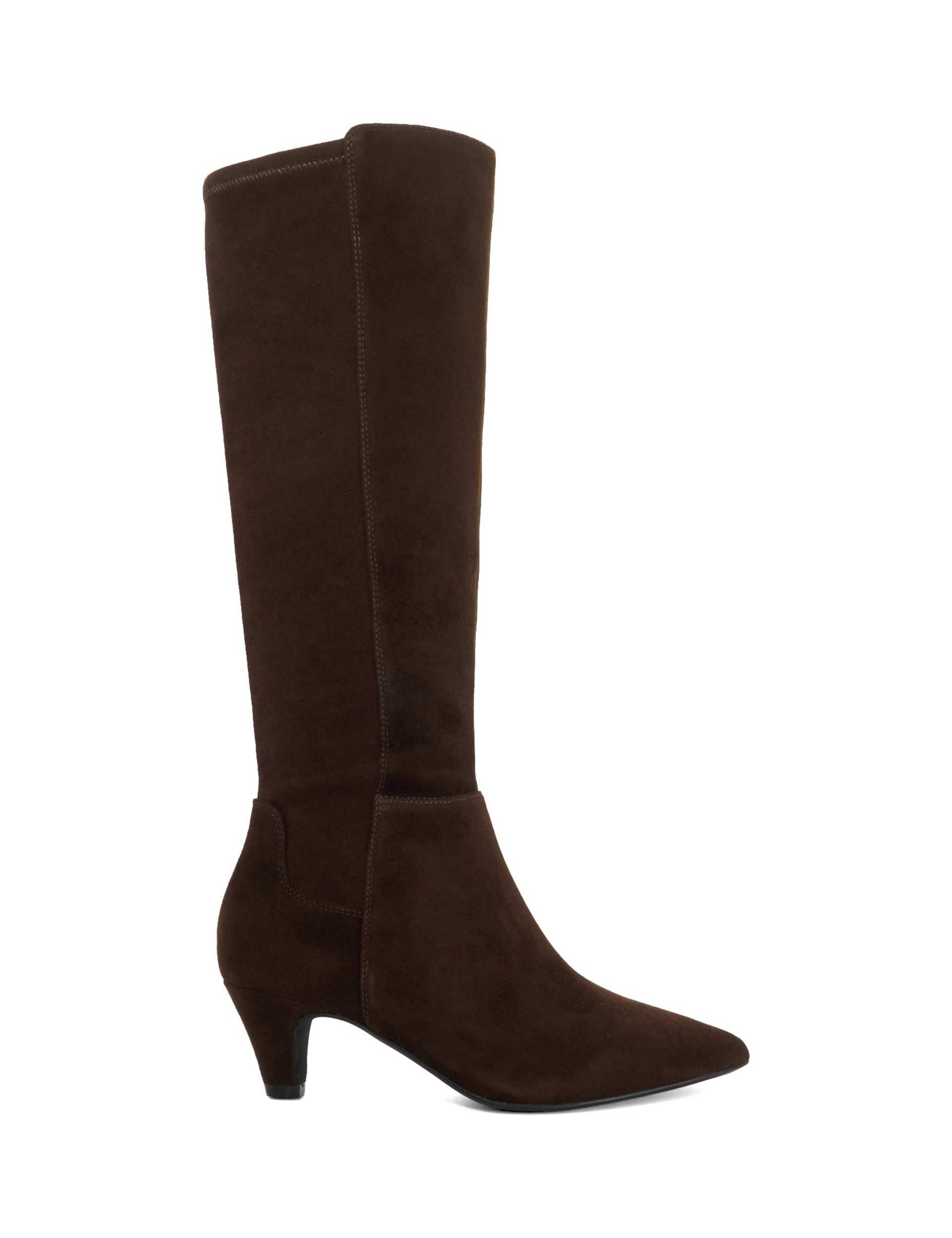 Sera Suede Pointed Toe Knee High Boots