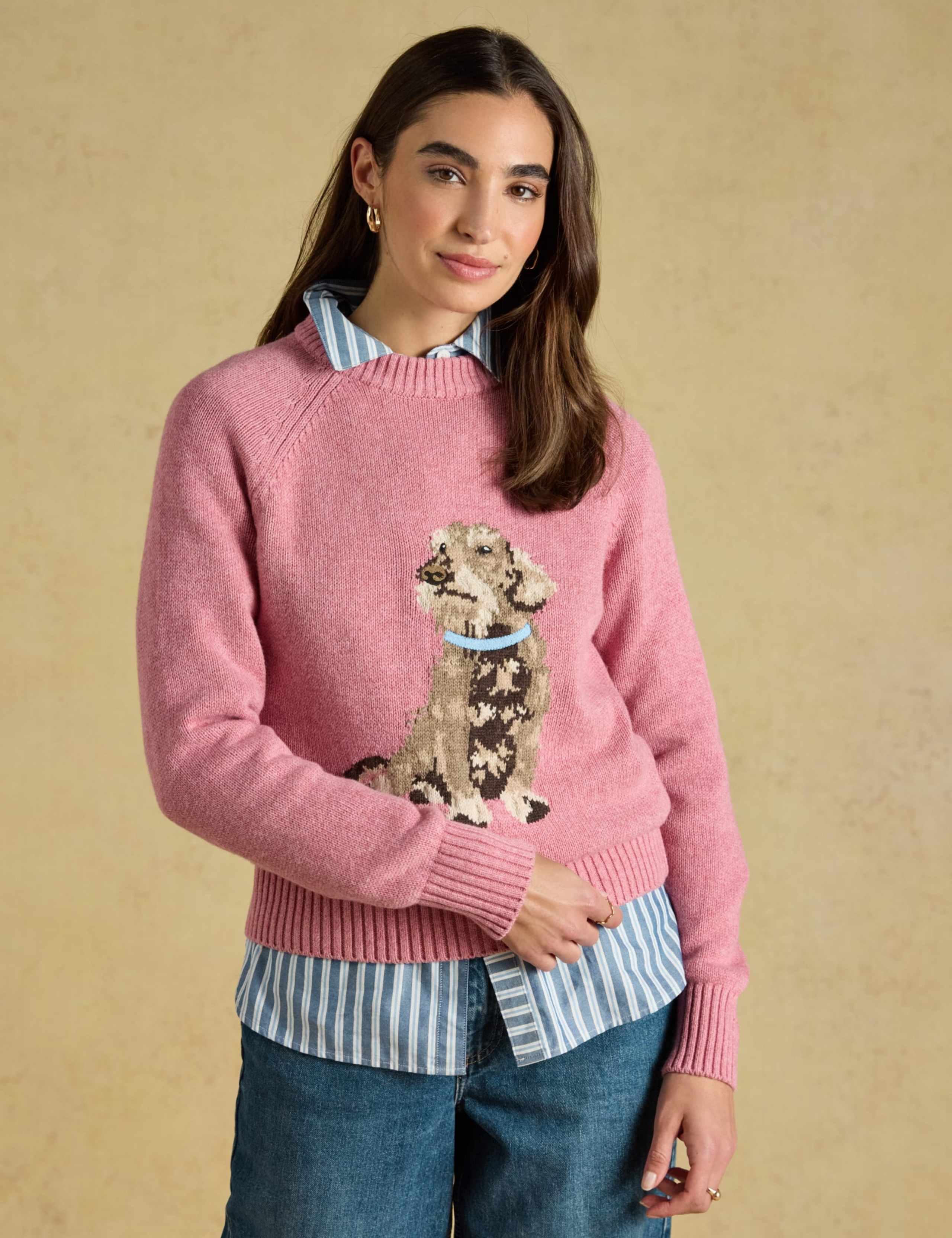 Cotton Rich Dachshund Intarsia Jumper with Wool