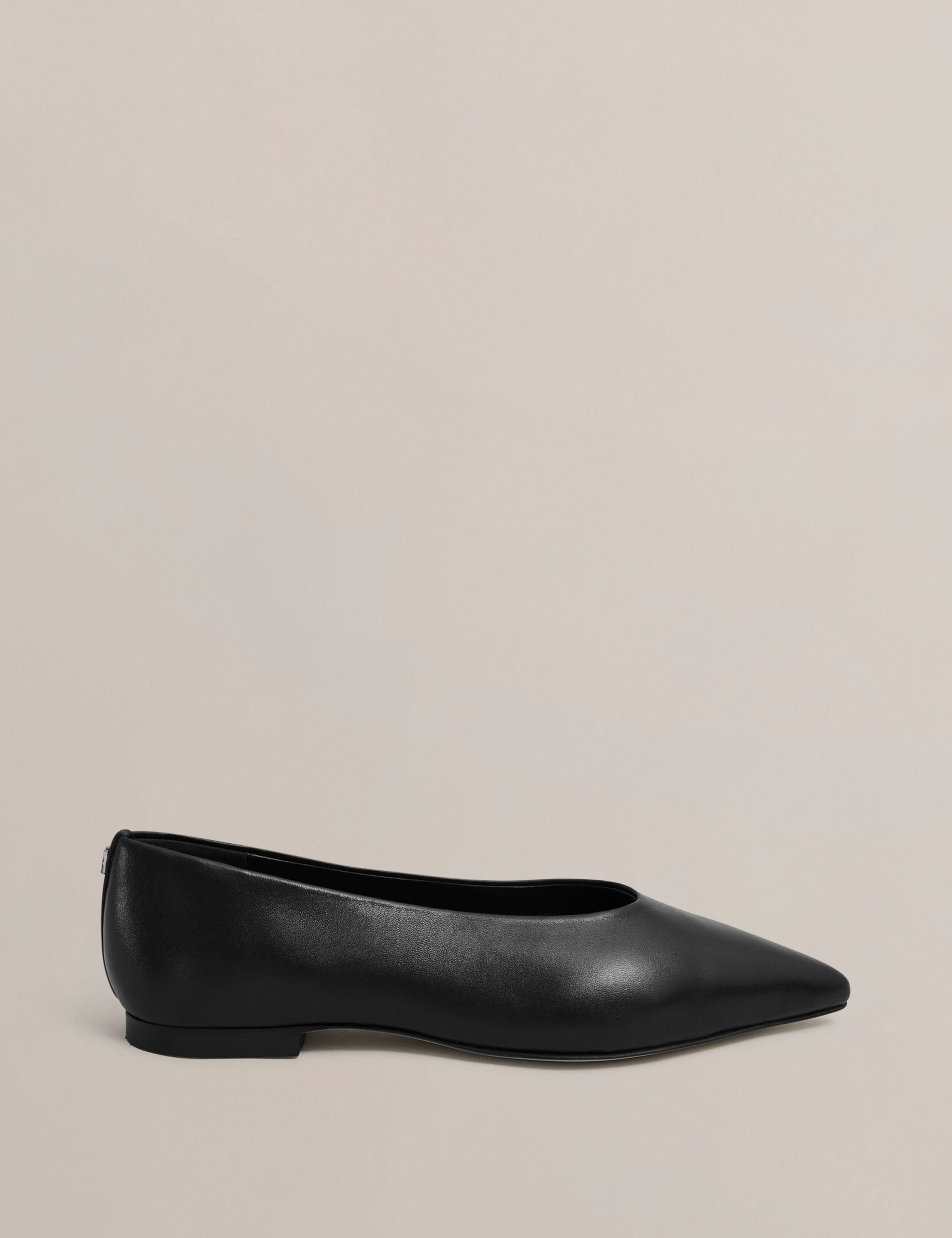 Leather Flat Pointed Ballet Pumps