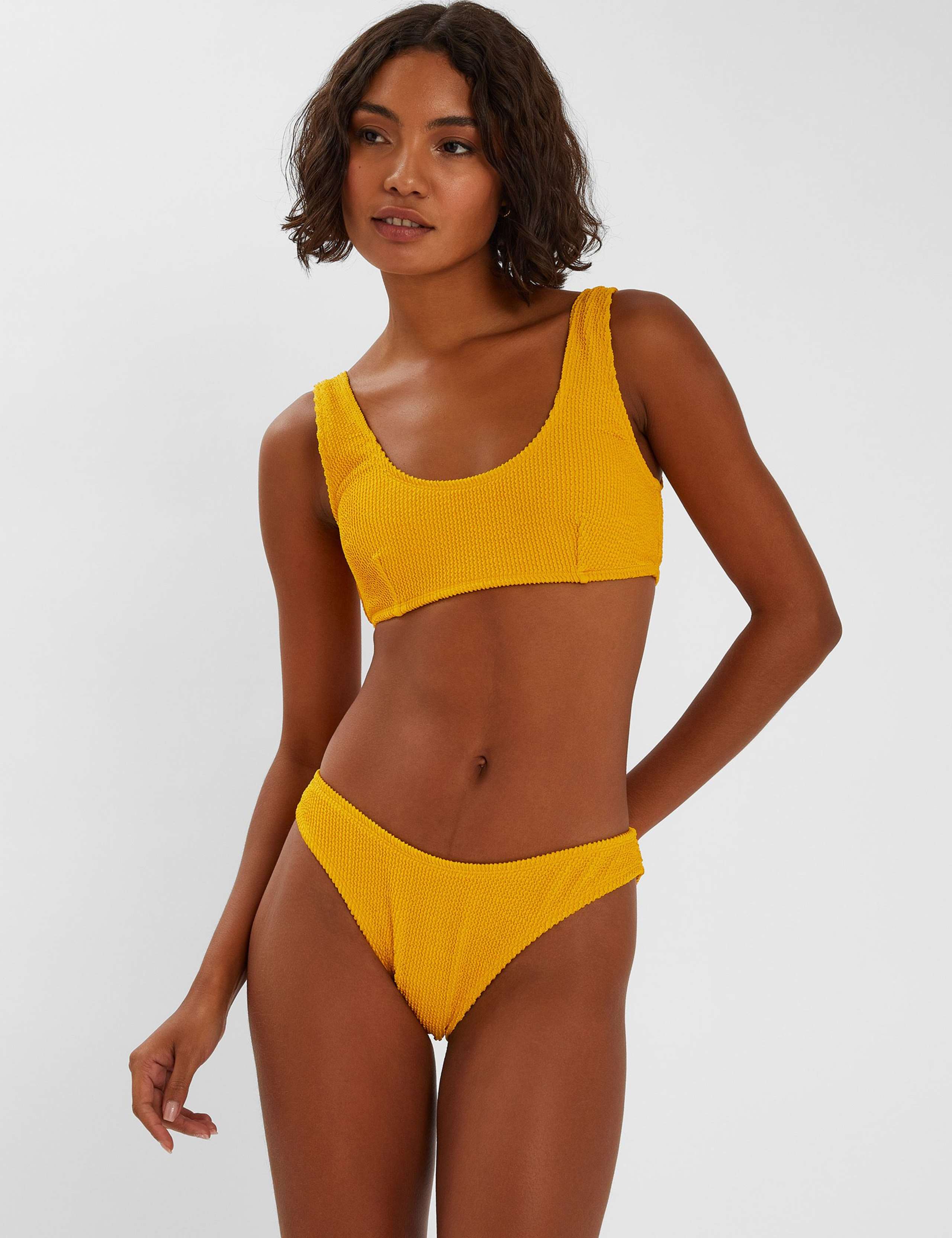 Crinkle Cropped Plunge Scoop Neck Bikini Top