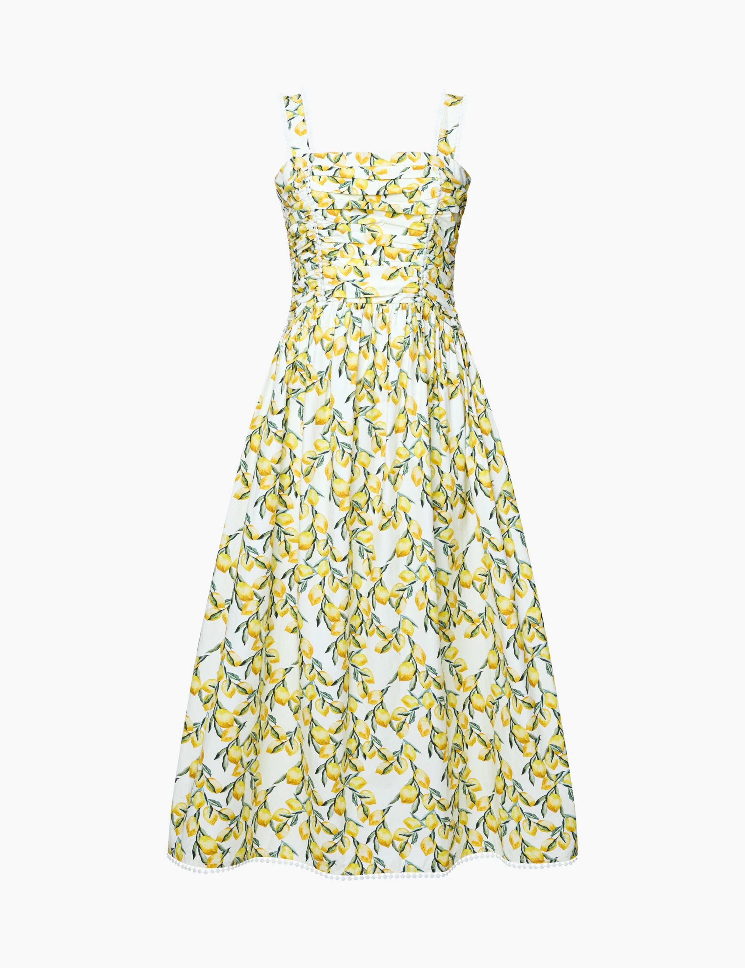 Pure Cotton Printed Midi Waisted Dress
