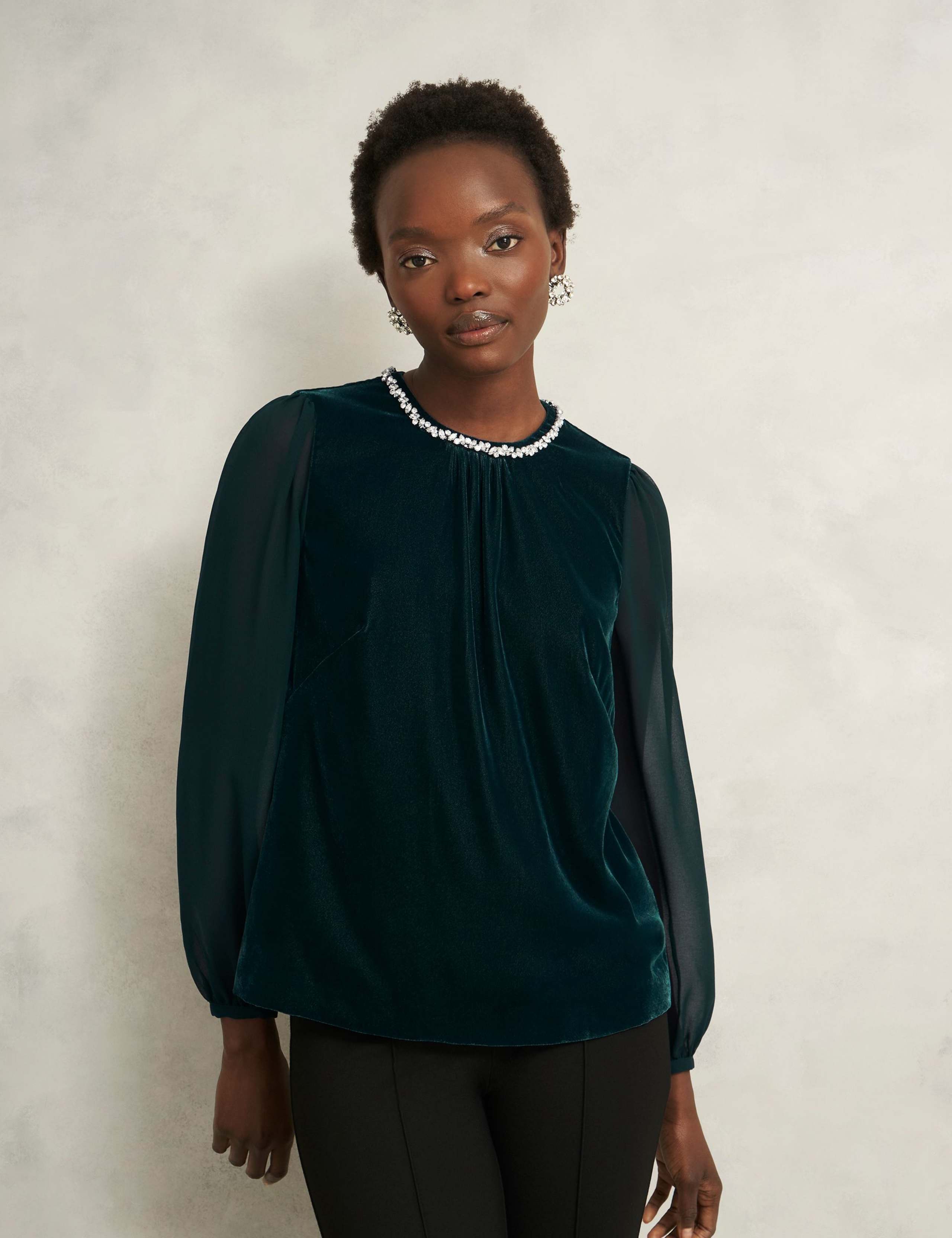 Velvet Embellished Sheer Sleeve Blouse
