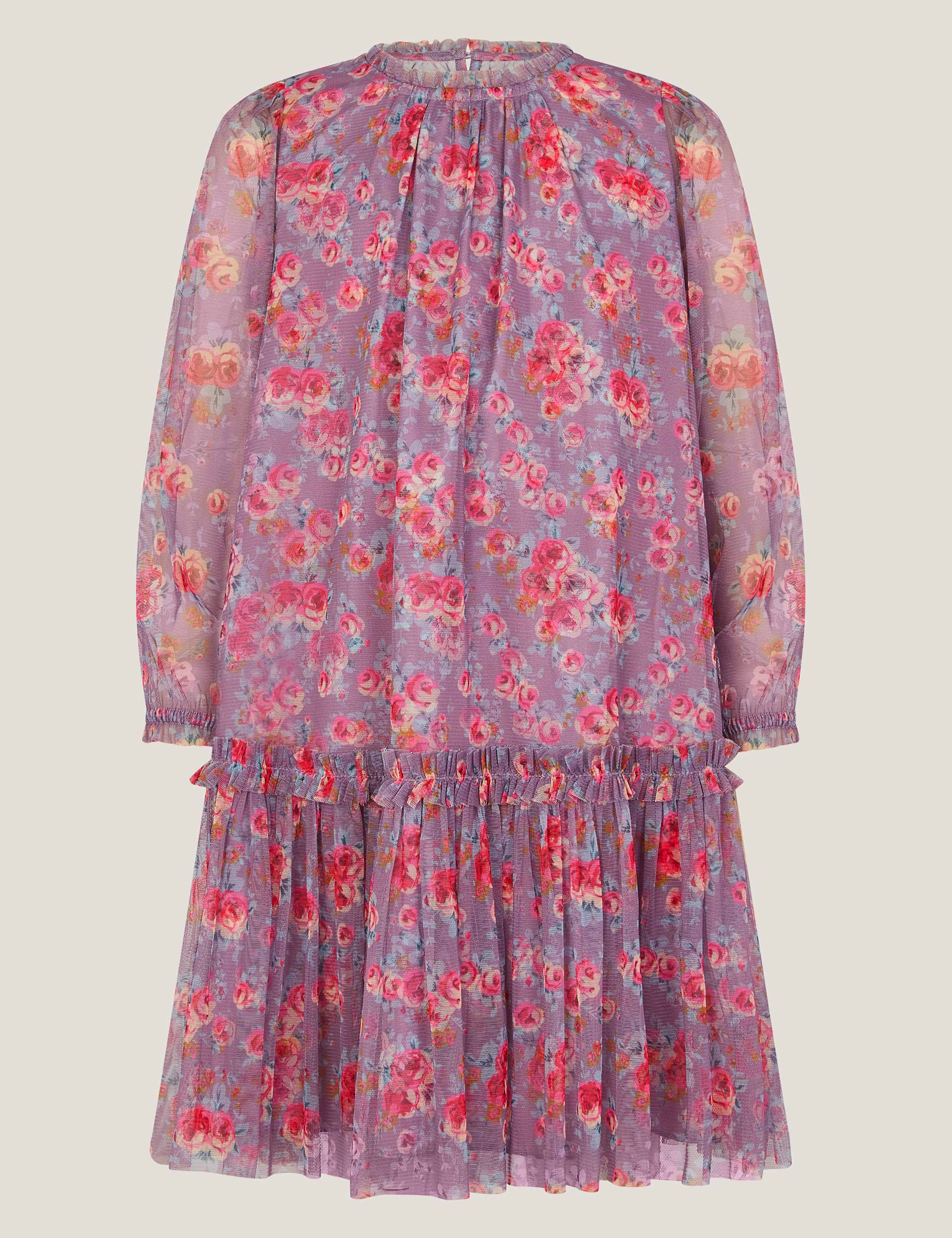 Floral Print Mesh Long Sleeve Dress (3-15 Yrs)