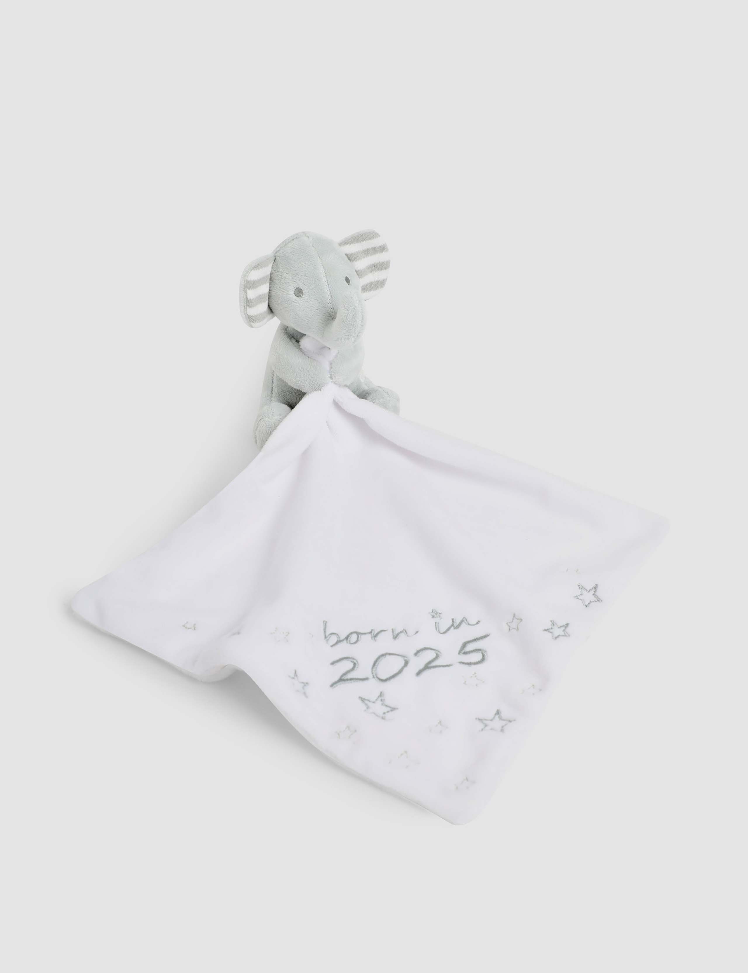 Born In 2025 Comforter